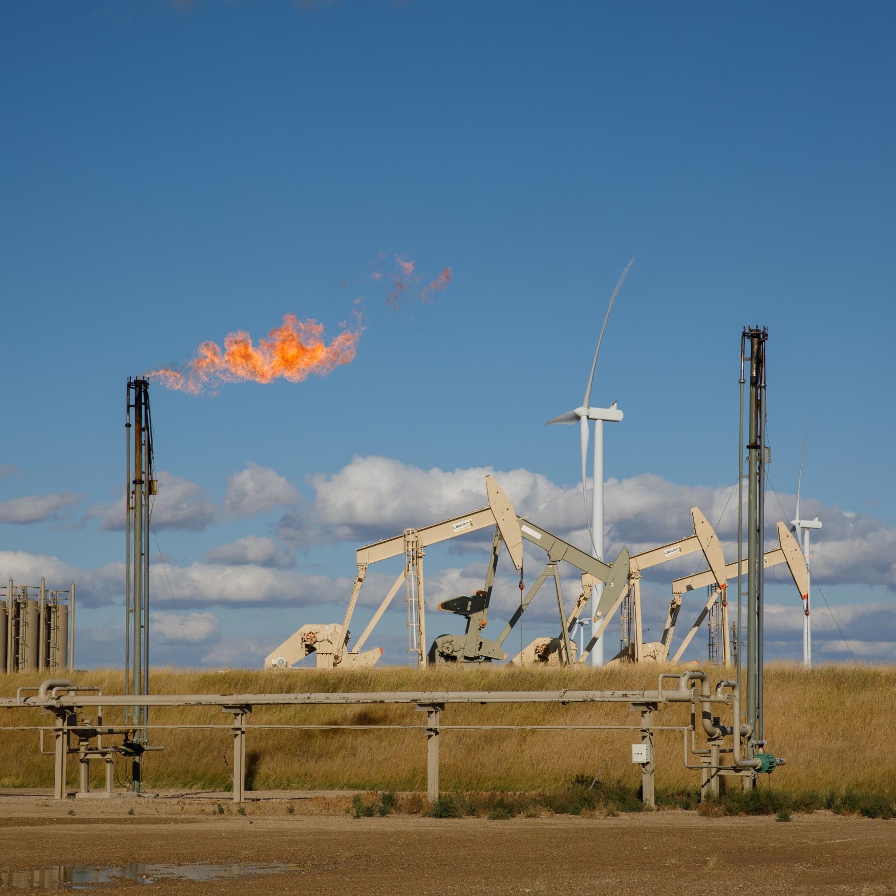 Thumbnail for "Royalties and Roughrider Coin: Questions for North Dakota economy". Thumbnail for "Royalties and Roughrider Coin: Questions for North Dakota economy".