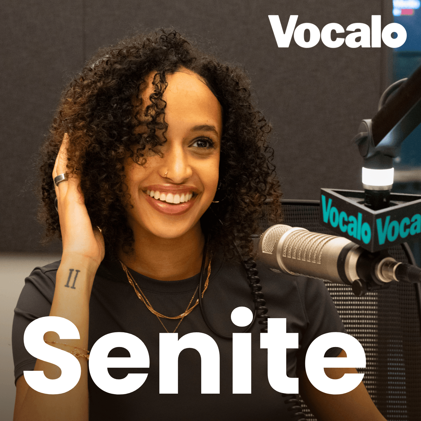Thumbnail for "Chicago musician Senite doesn’t let anyone box her into one genre". Thumbnail for "Chicago musician Senite doesn’t let anyone box her into one genre".