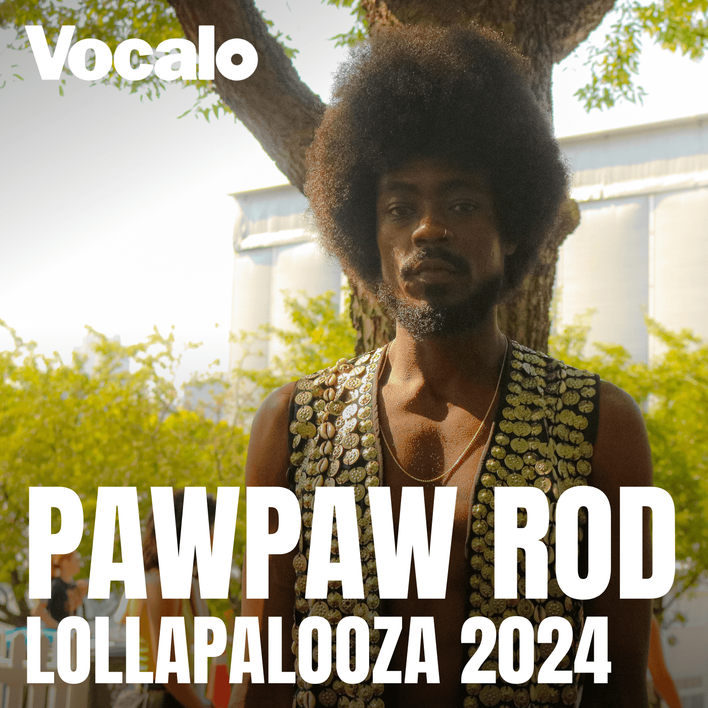 Thumbnail for "At Lollapalooza, PawPaw Rod looks to the past for innovation". Thumbnail for "At Lollapalooza, PawPaw Rod looks to the past for innovation".