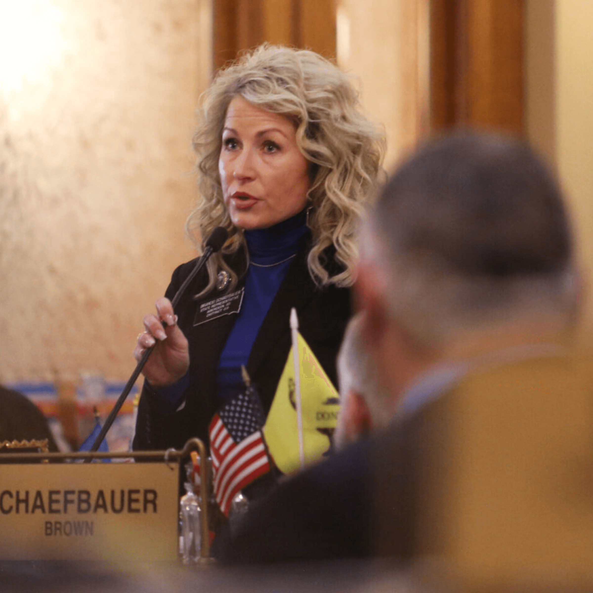 Thumbnail for "The lawmaker who takes ivermectin, a Republican rift over data centers, and more from legislative week 4". Thumbnail for "The lawmaker who takes ivermectin, a Republican rift over data centers, and more from legislative week 4".