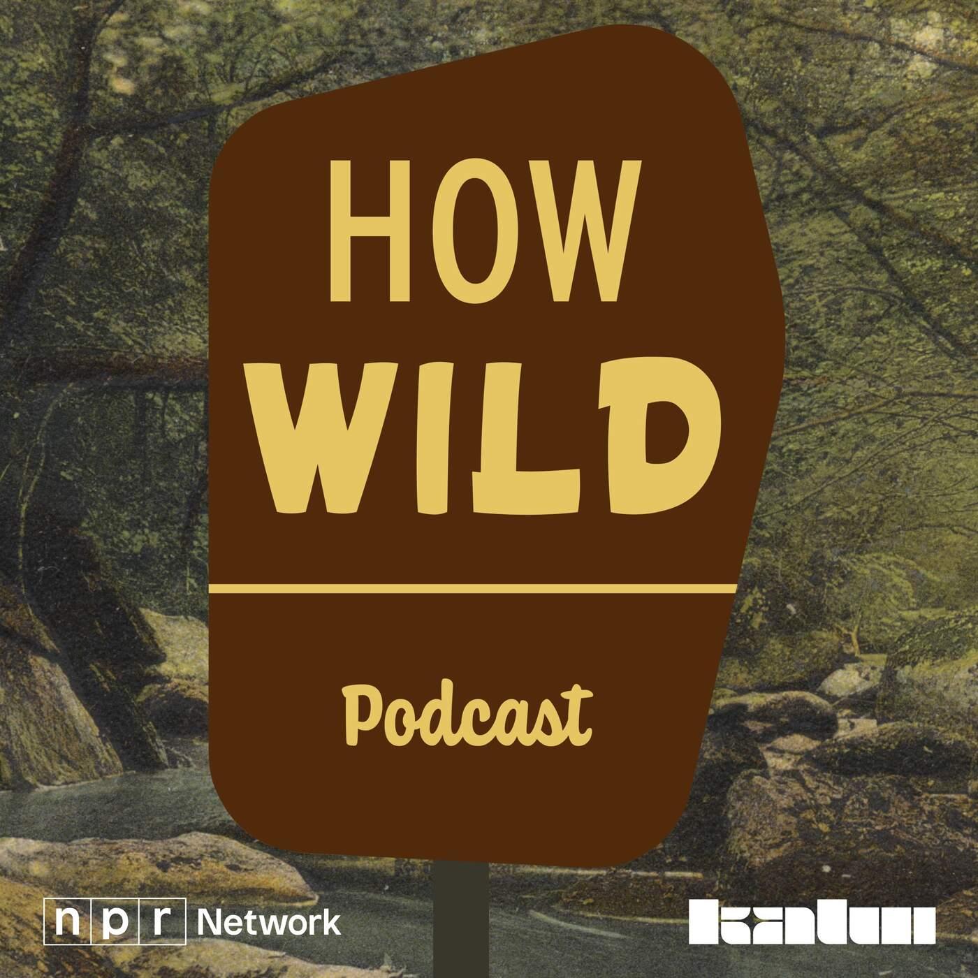 Logo for How Wild