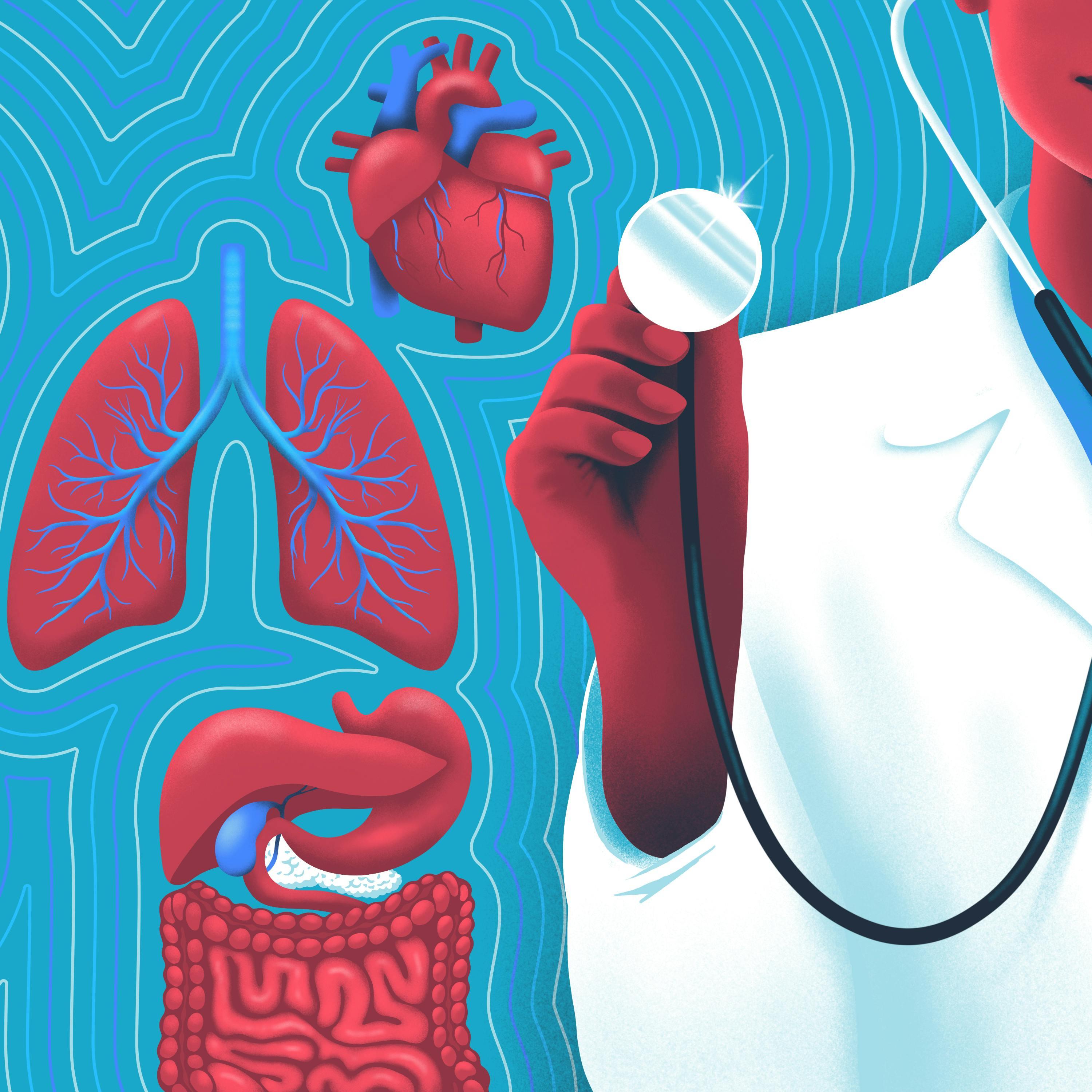 Thumbnail for "How Doctors Listen: A sonic journey through the body". Thumbnail for "How Doctors Listen: A sonic journey through the body".