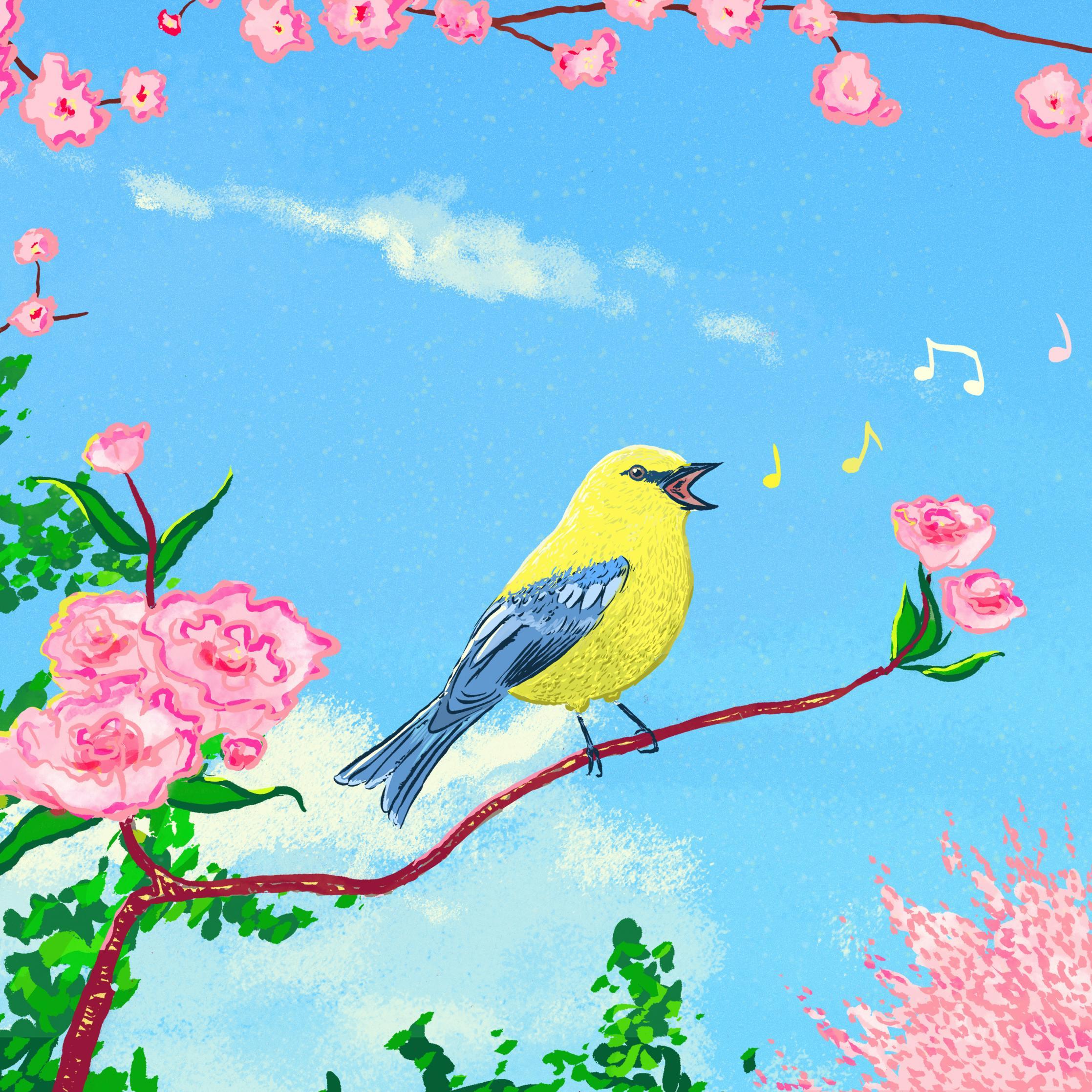 Thumbnail for "Bird Translation Guide: Decoding Tweets, Hoots, & Warbles". Thumbnail for "Bird Translation Guide: Decoding Tweets, Hoots, & Warbles".