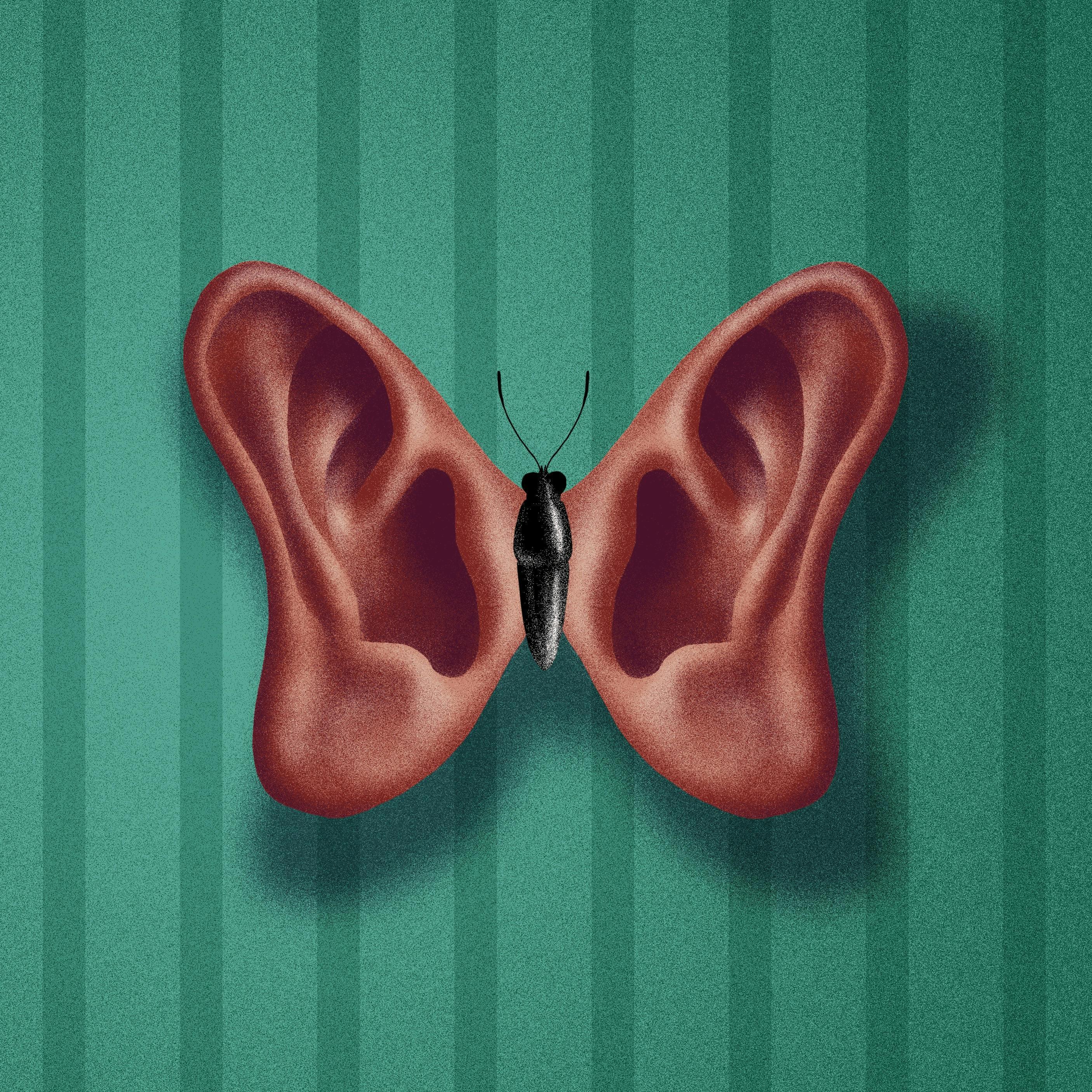 Thumbnail for "Deaf Gain: The promise and controversy of cochlear implants". Thumbnail for "Deaf Gain: The promise and controversy of cochlear implants".