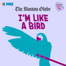 Thumbnail for "S9E9: I'm Like a Bird".