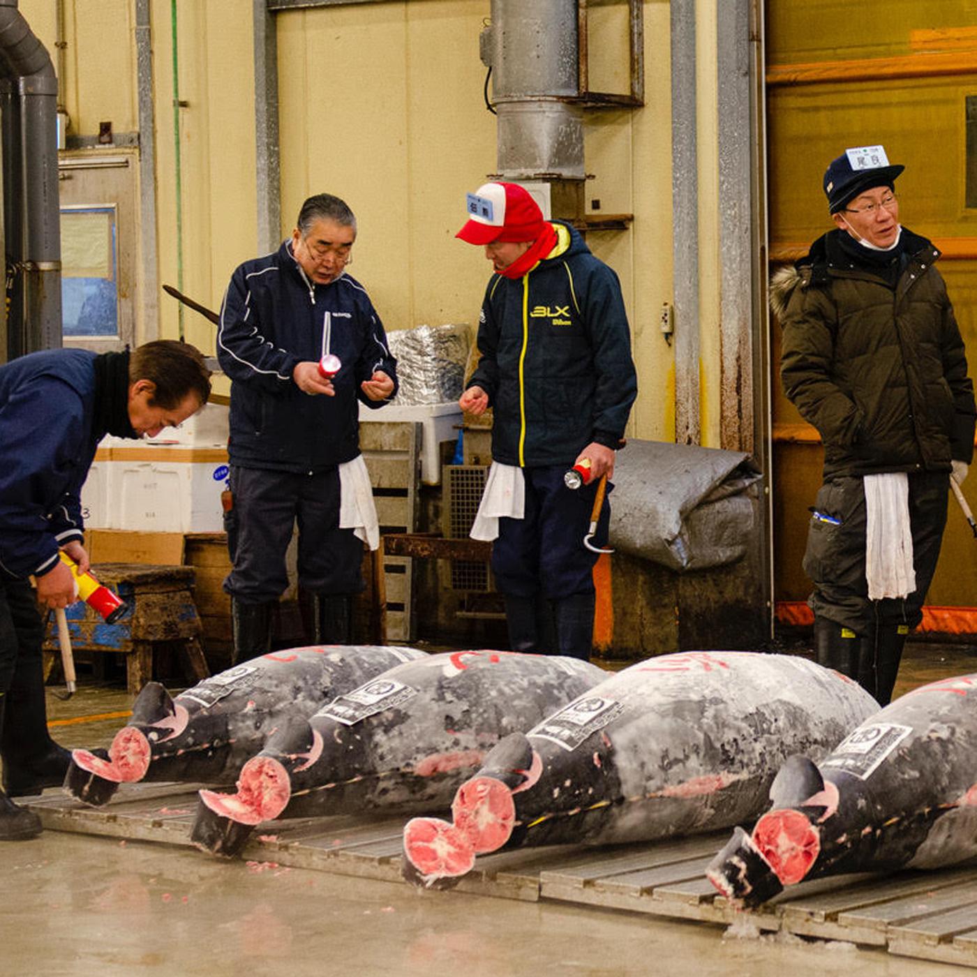 Thumbnail for "The Largest Fish Market in the World". Thumbnail for "The Largest Fish Market in the World".
