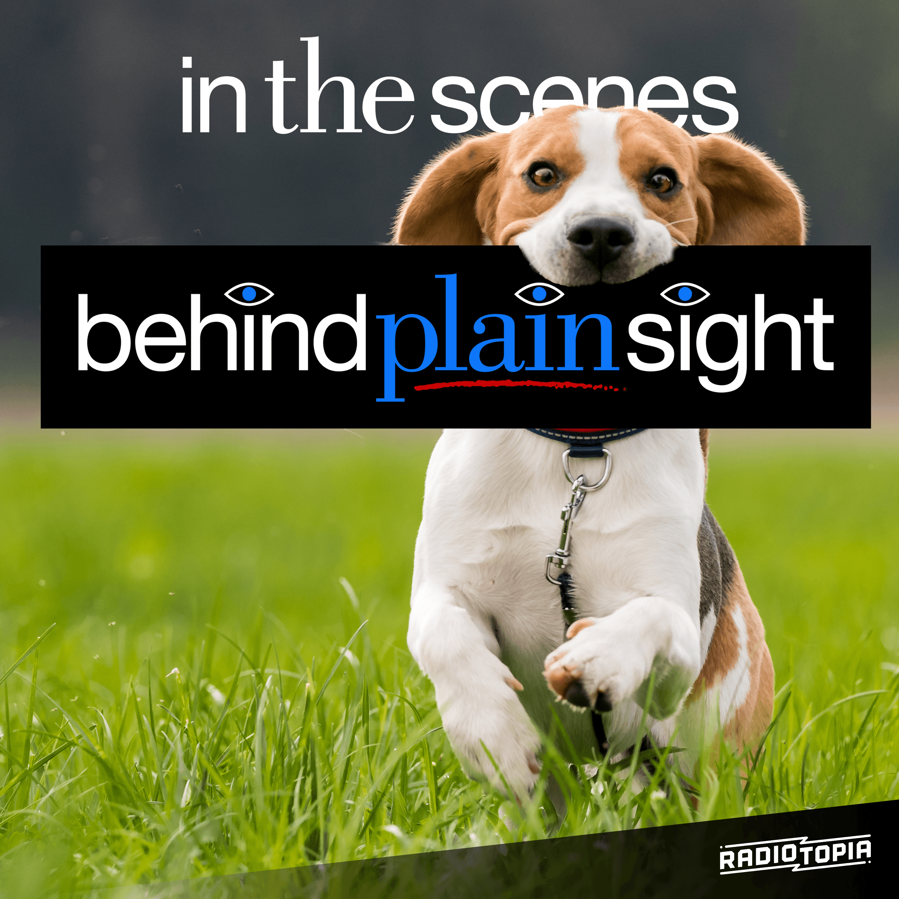 Thumbnail for "A Skip Divided". Thumbnail for "A Skip Divided".