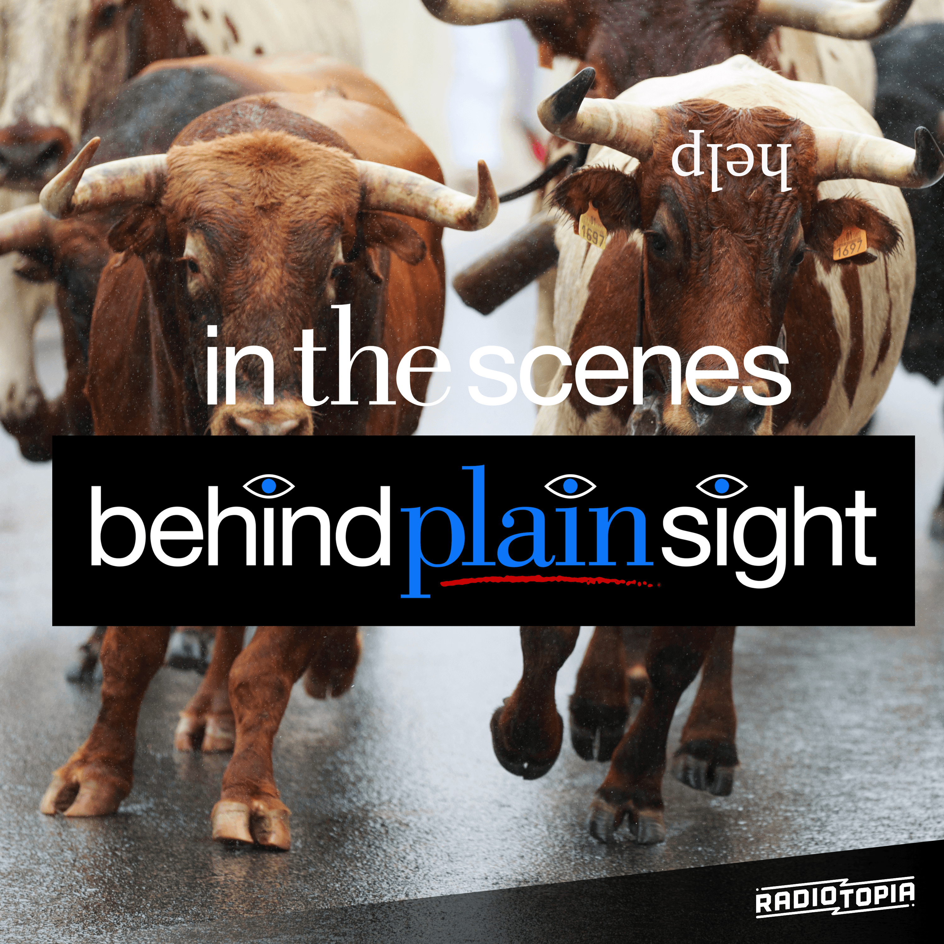 Thumbnail for "Running of the Bulls". Thumbnail for "Running of the Bulls".