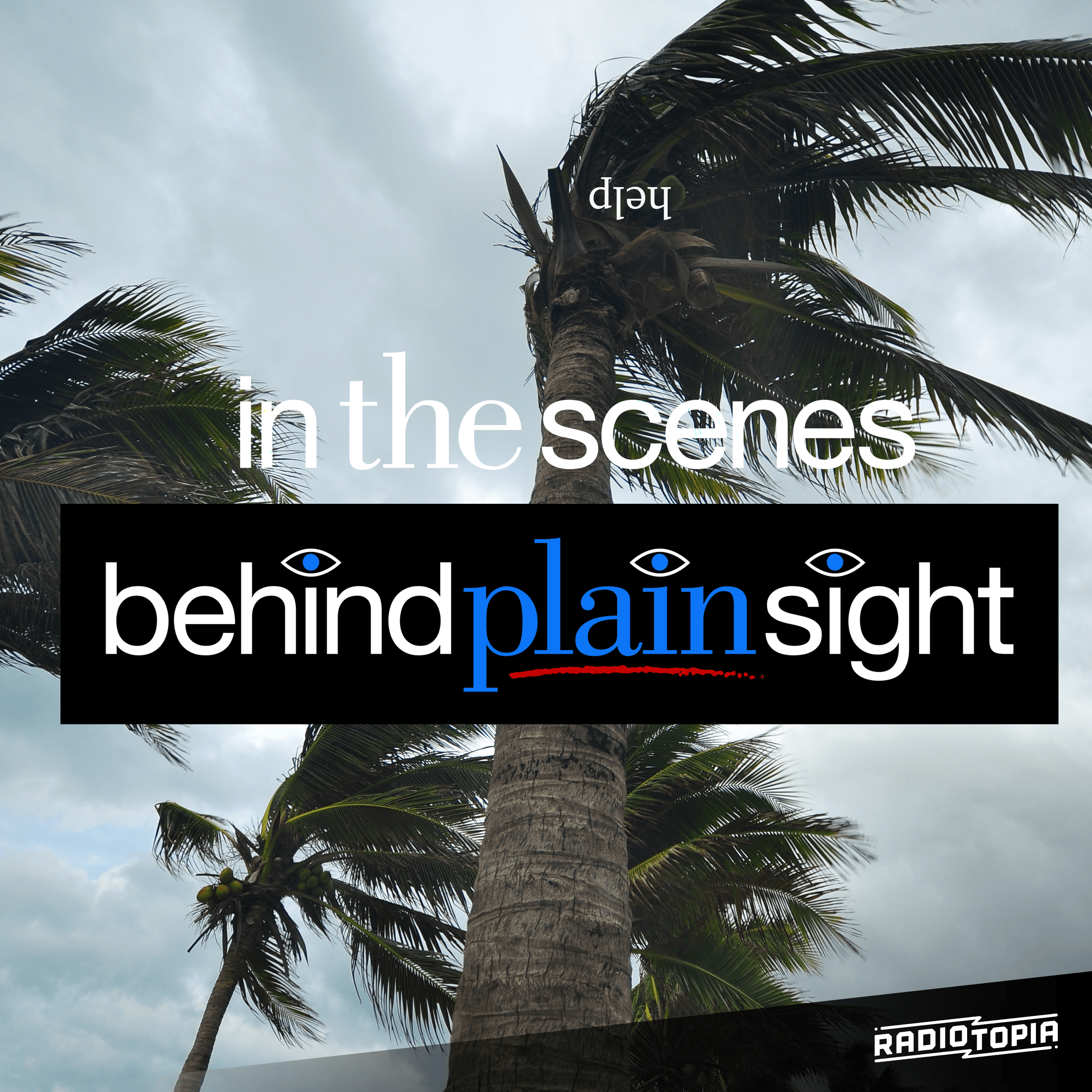 Thumbnail for "Gone With The Wind 2: Back With The Wind". Thumbnail for "Gone With The Wind 2: Back With The Wind".