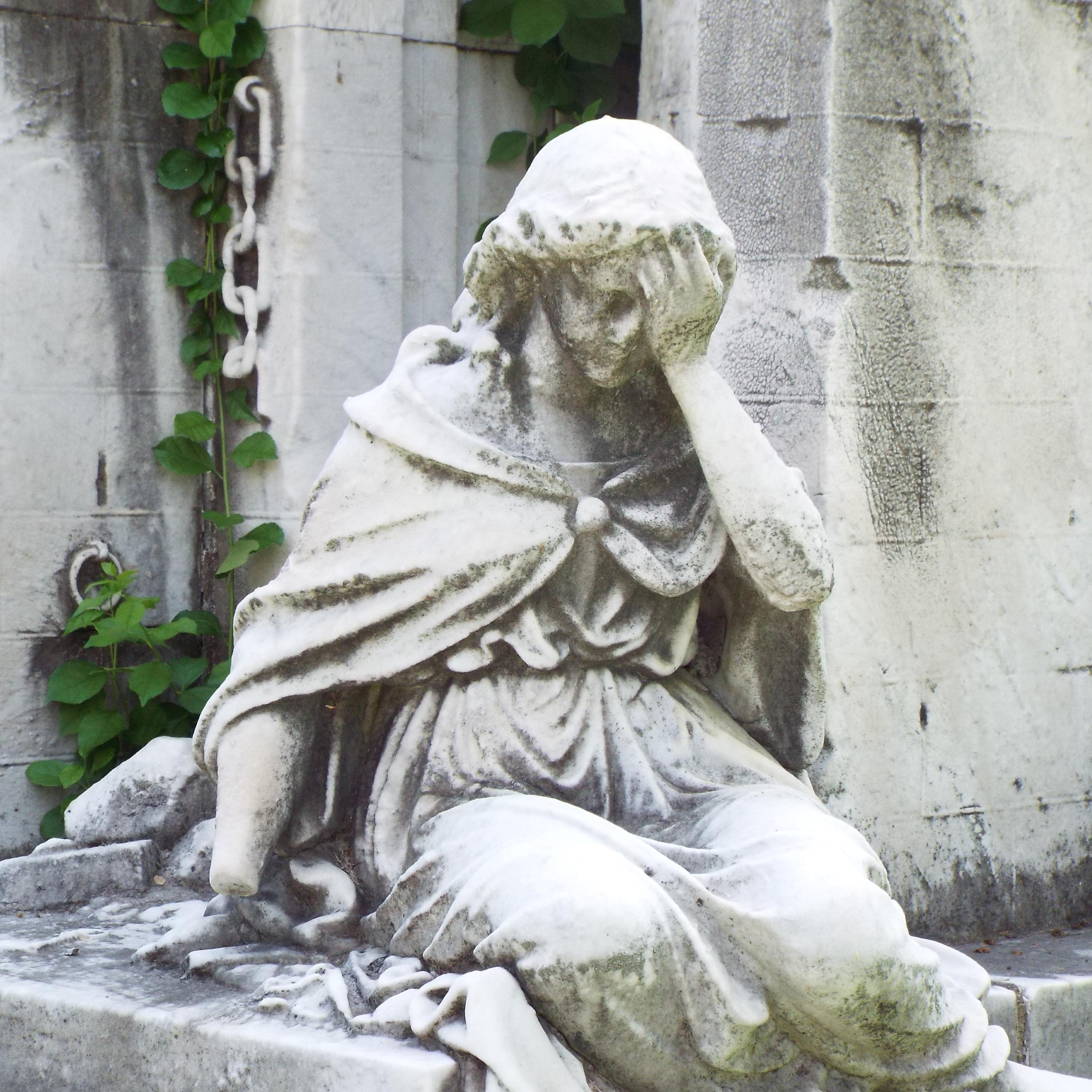 Thumbnail for "The Science of Grief". Thumbnail for "The Science of Grief".