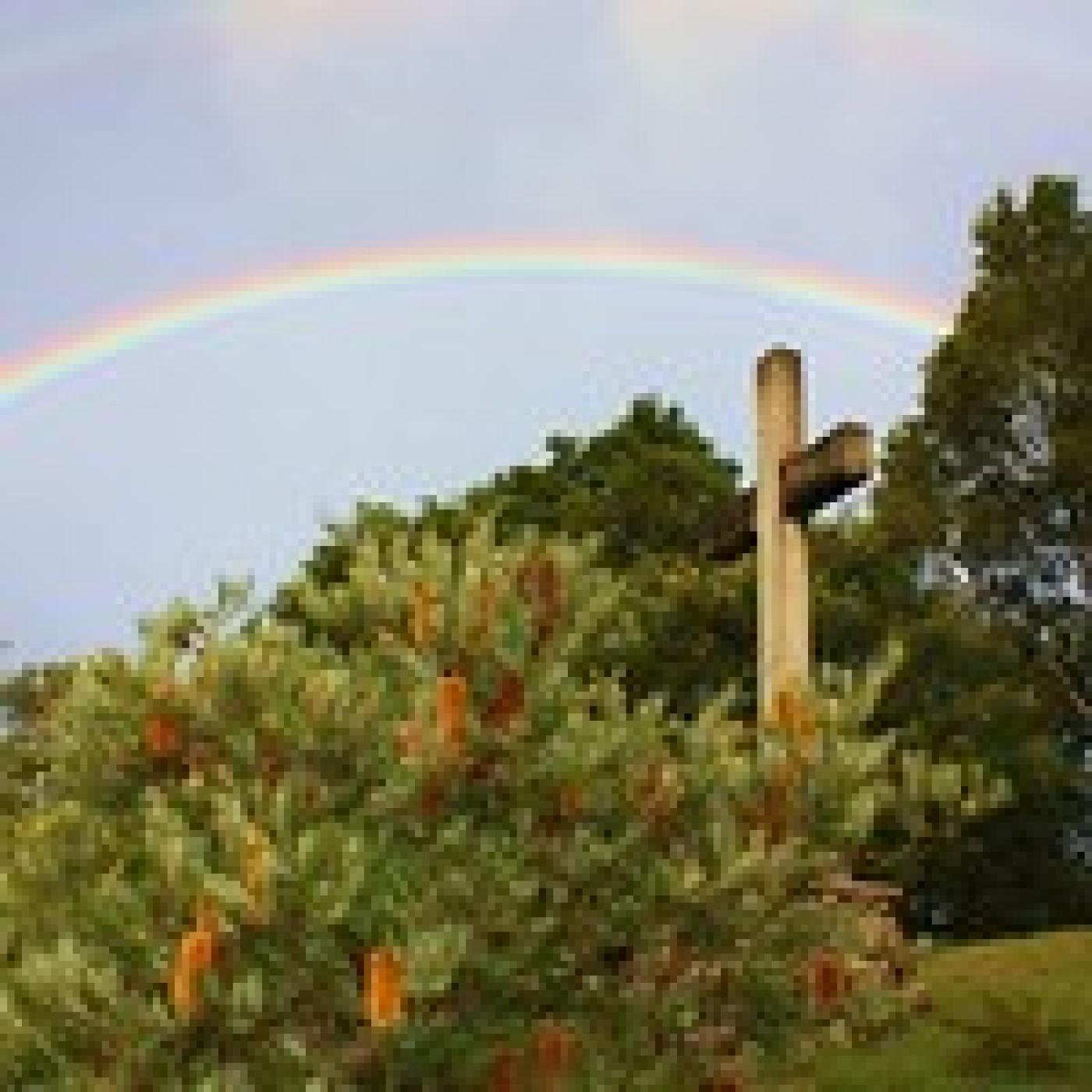 Thumbnail for "Faith, Identity, and Life-Changing Chance Encounters". Thumbnail for "Faith, Identity, and Life-Changing Chance Encounters".