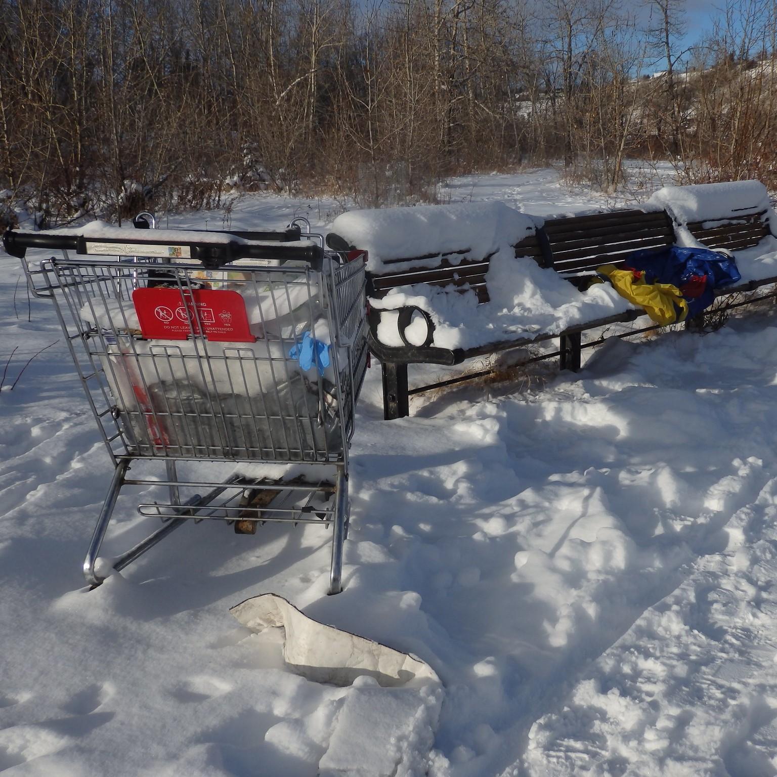 Thumbnail for "Life Without A Home". Thumbnail for "Life Without A Home".