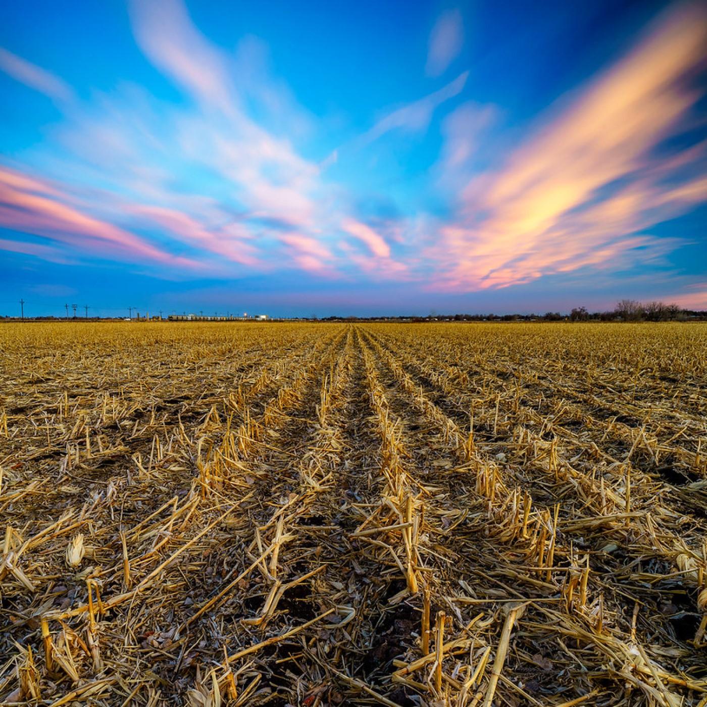 Thumbnail for "Big Changes in Small Towns". Thumbnail for "Big Changes in Small Towns".