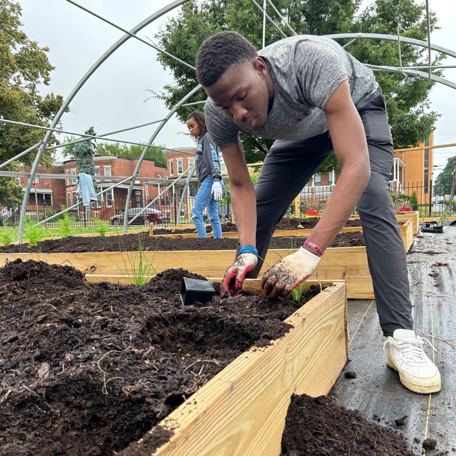 Thumbnail for "Growing Food, Community, & Vibes in an Urban Food Desert". Thumbnail for "Growing Food, Community, & Vibes in an Urban Food Desert".