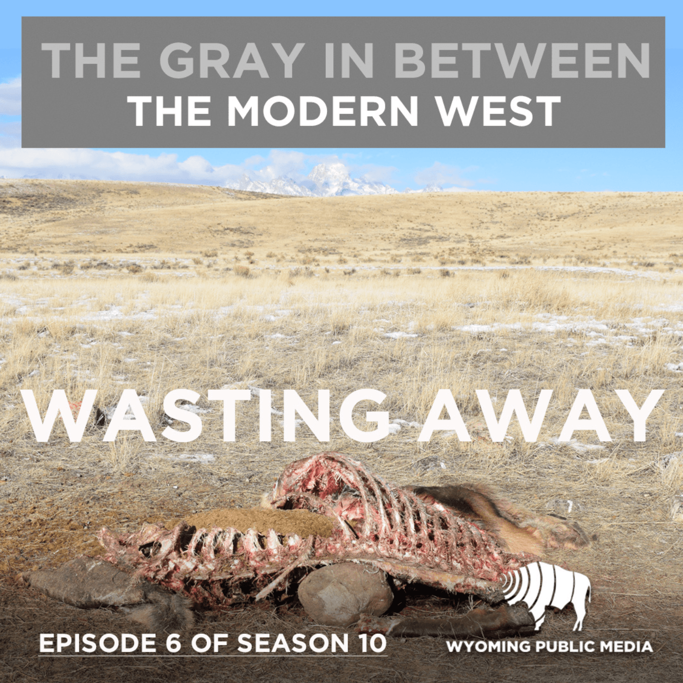 Thumbnail for "Wasting Away". Thumbnail for "Wasting Away".