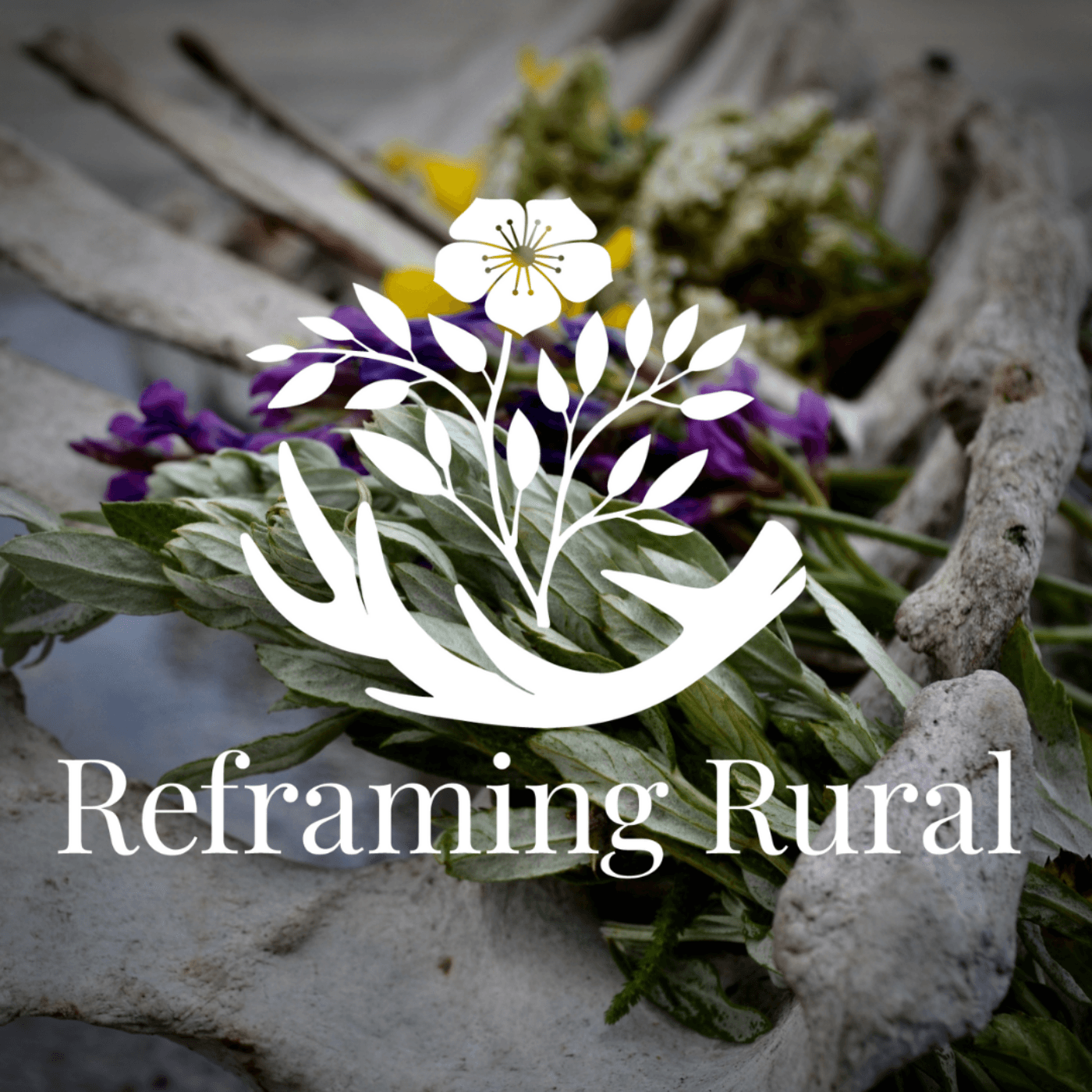 Thumbnail for "Bonus: Reframing Rural". Thumbnail for "Bonus: Reframing Rural".