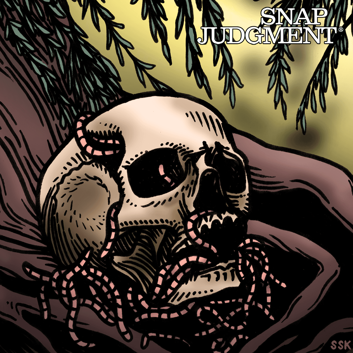 Thumbnail for "Spooked - Cat Bone Curse". Thumbnail for "Spooked - Cat Bone Curse".