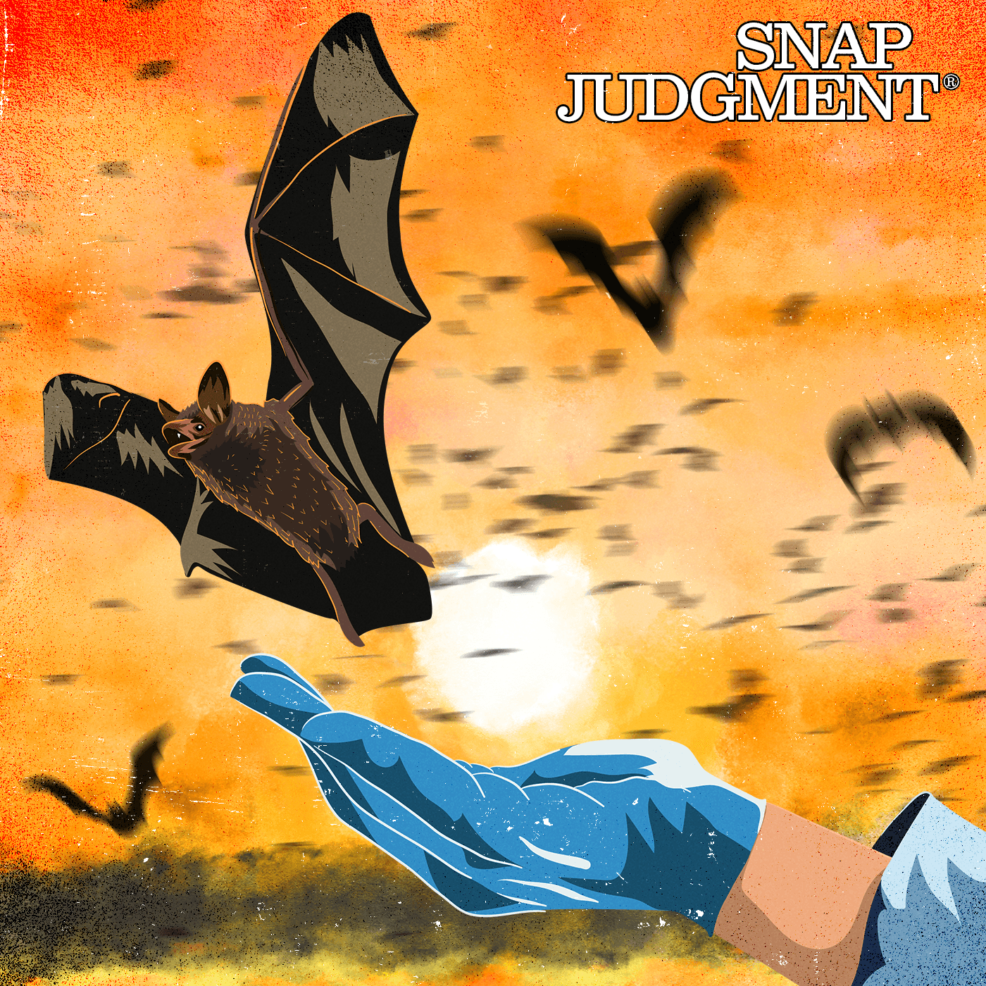 Thumbnail for "Batwoman - Snap Classic". Thumbnail for "Batwoman - Snap Classic".
