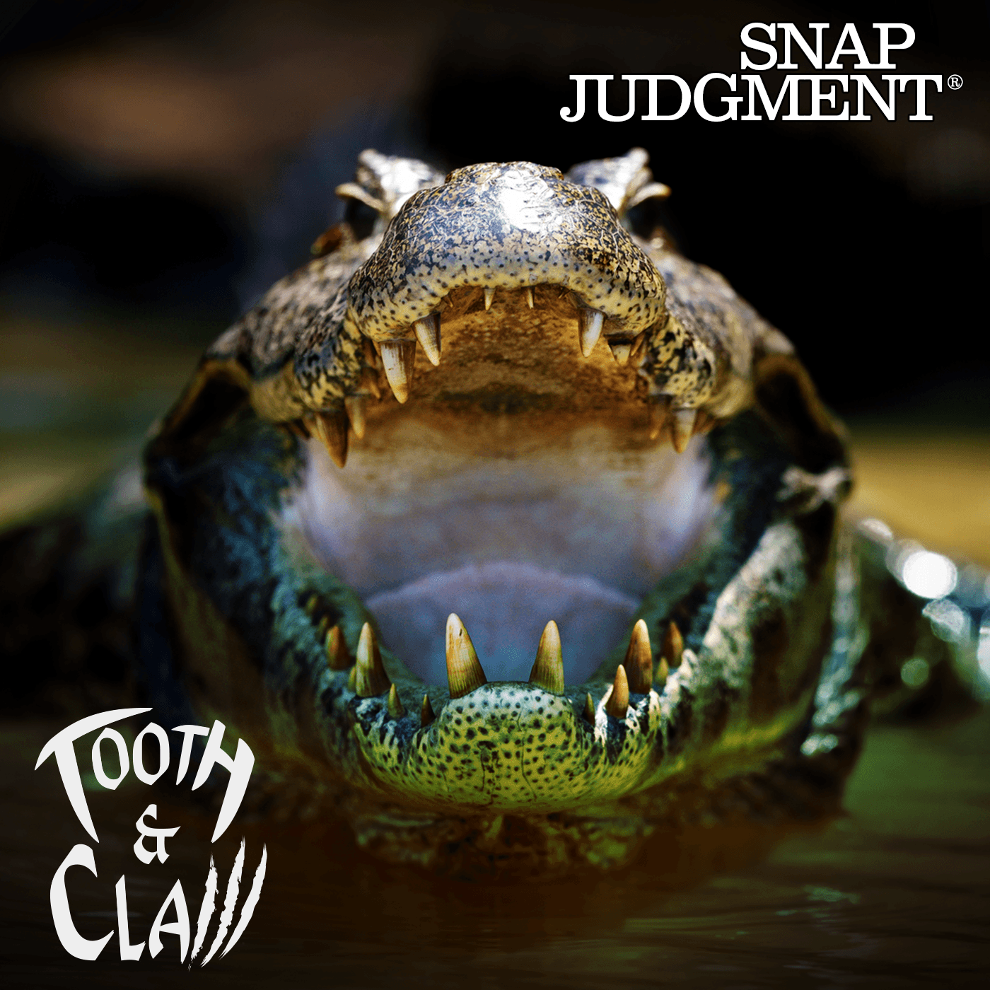 Thumbnail for "Florida Alligator Man - Tooth & Claw". Thumbnail for "Florida Alligator Man - Tooth & Claw".