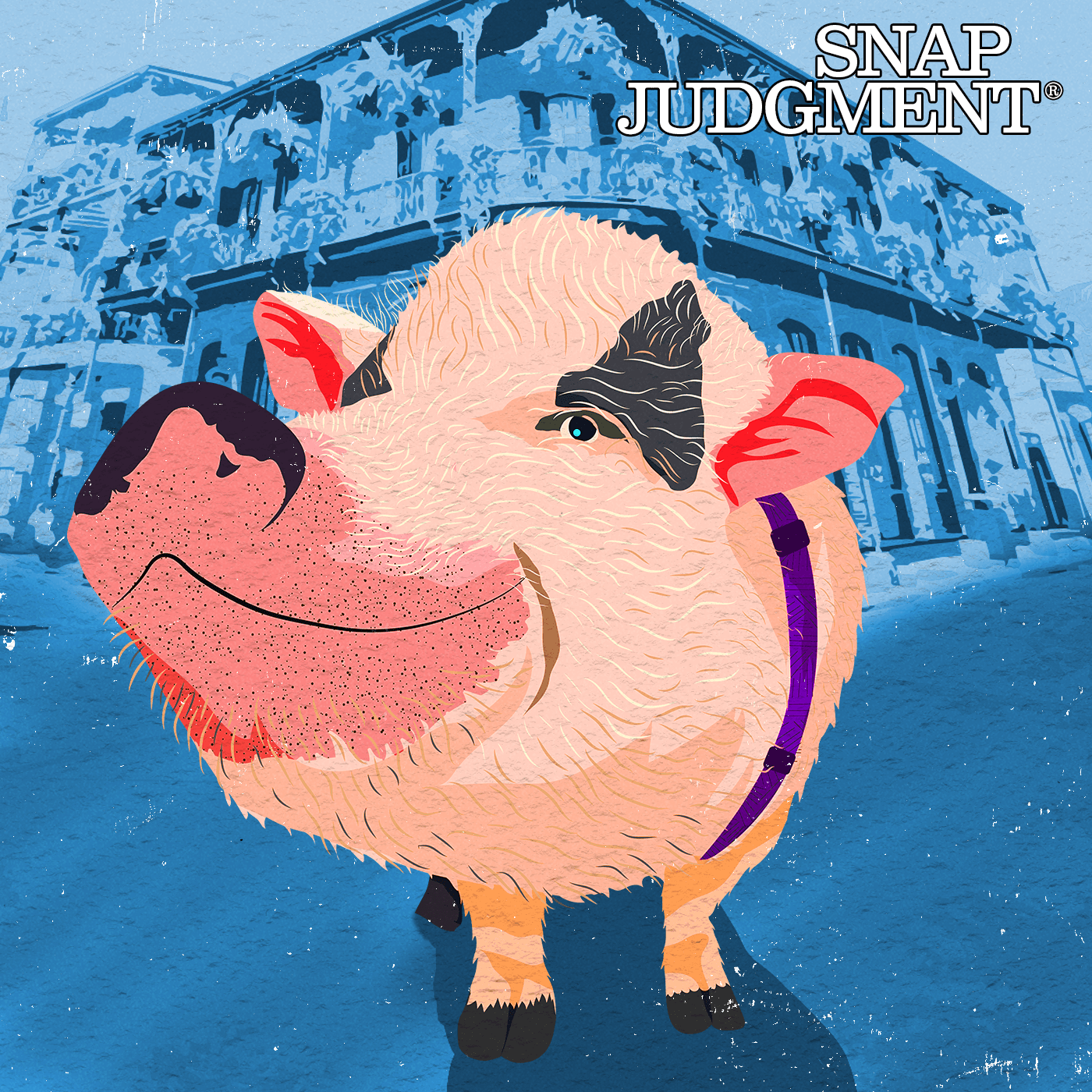 Thumbnail for "Rooty the Pig". Thumbnail for "Rooty the Pig".