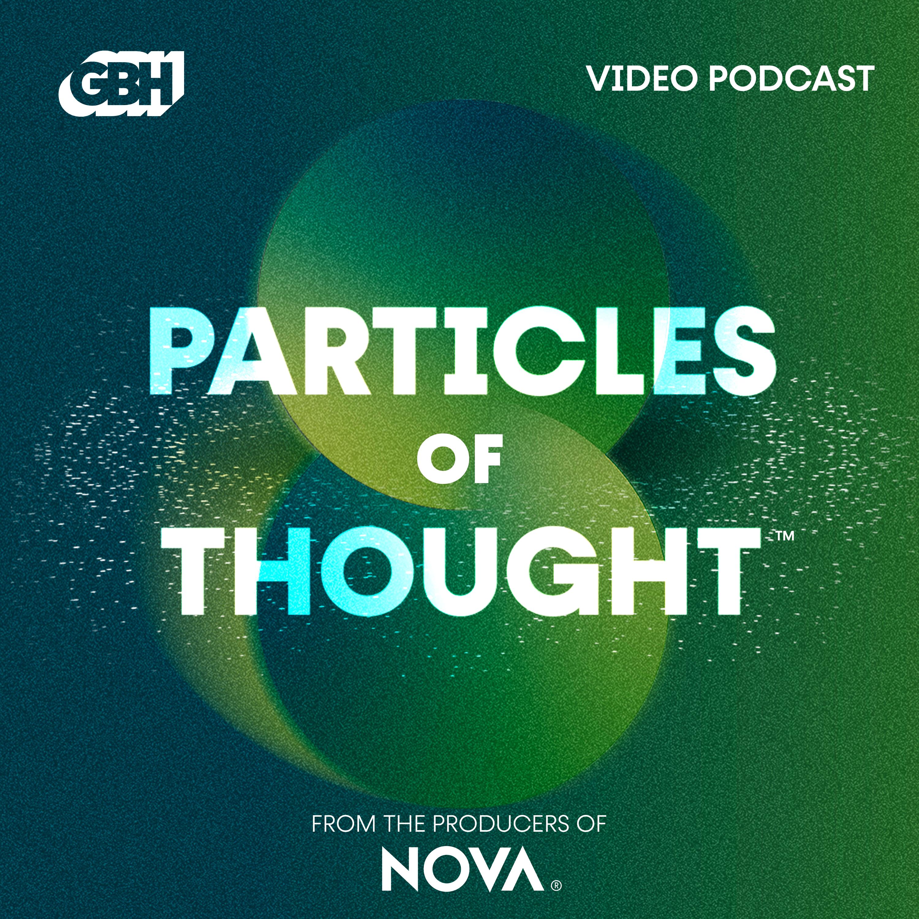 Thumbnail for "Introducing Particles of Thought". Thumbnail for "Introducing Particles of Thought".