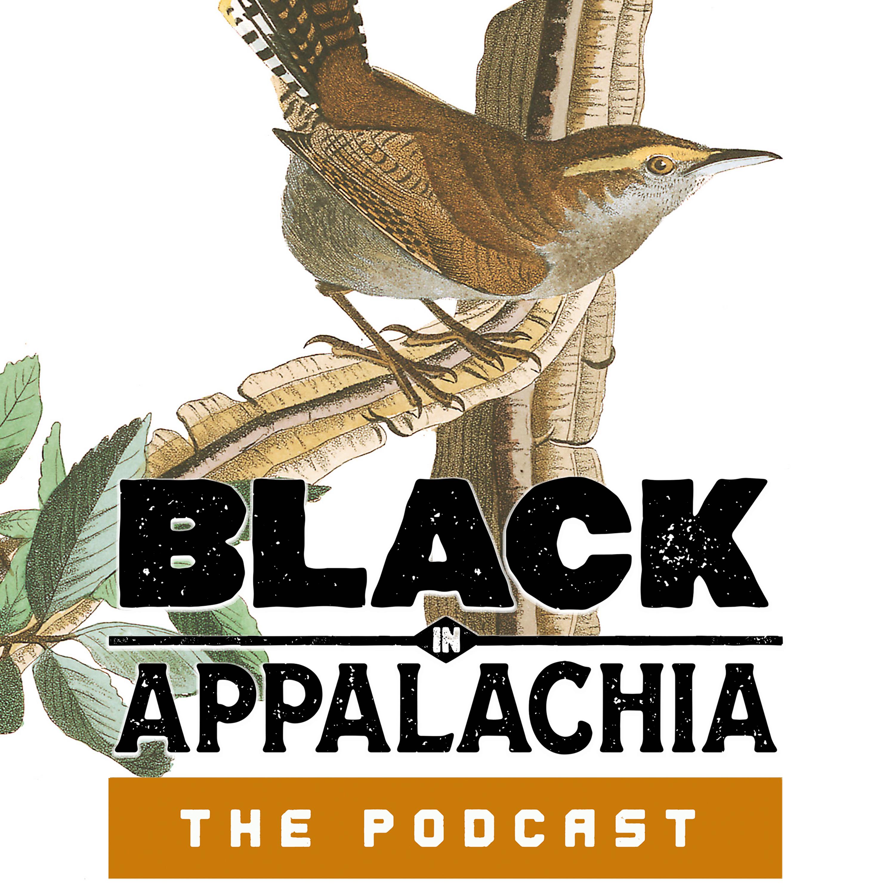 Thumbnail for "Black in Appalachia: Birdwatching while Black". Thumbnail for "Black in Appalachia: Birdwatching while Black".