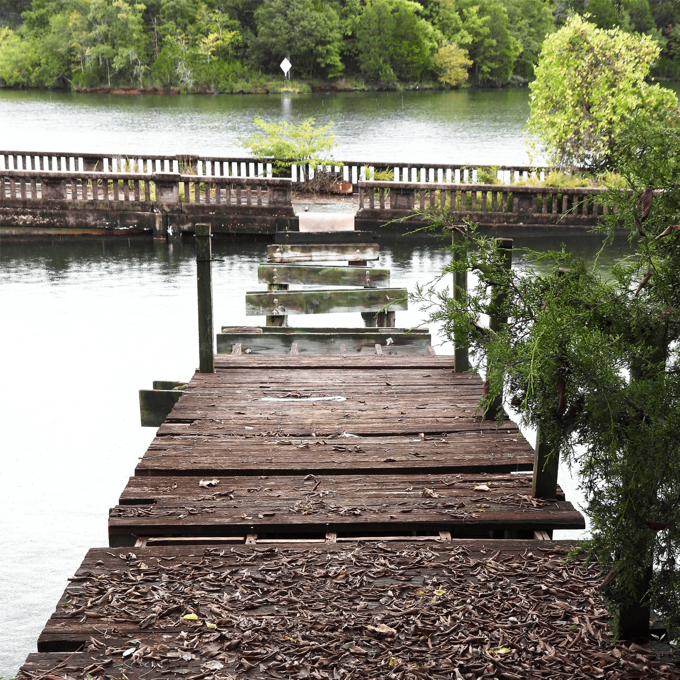 Thumbnail for "The Story Of Tanasi, Part 1: Birth Of A River". Thumbnail for "The Story Of Tanasi, Part 1: Birth Of A River".