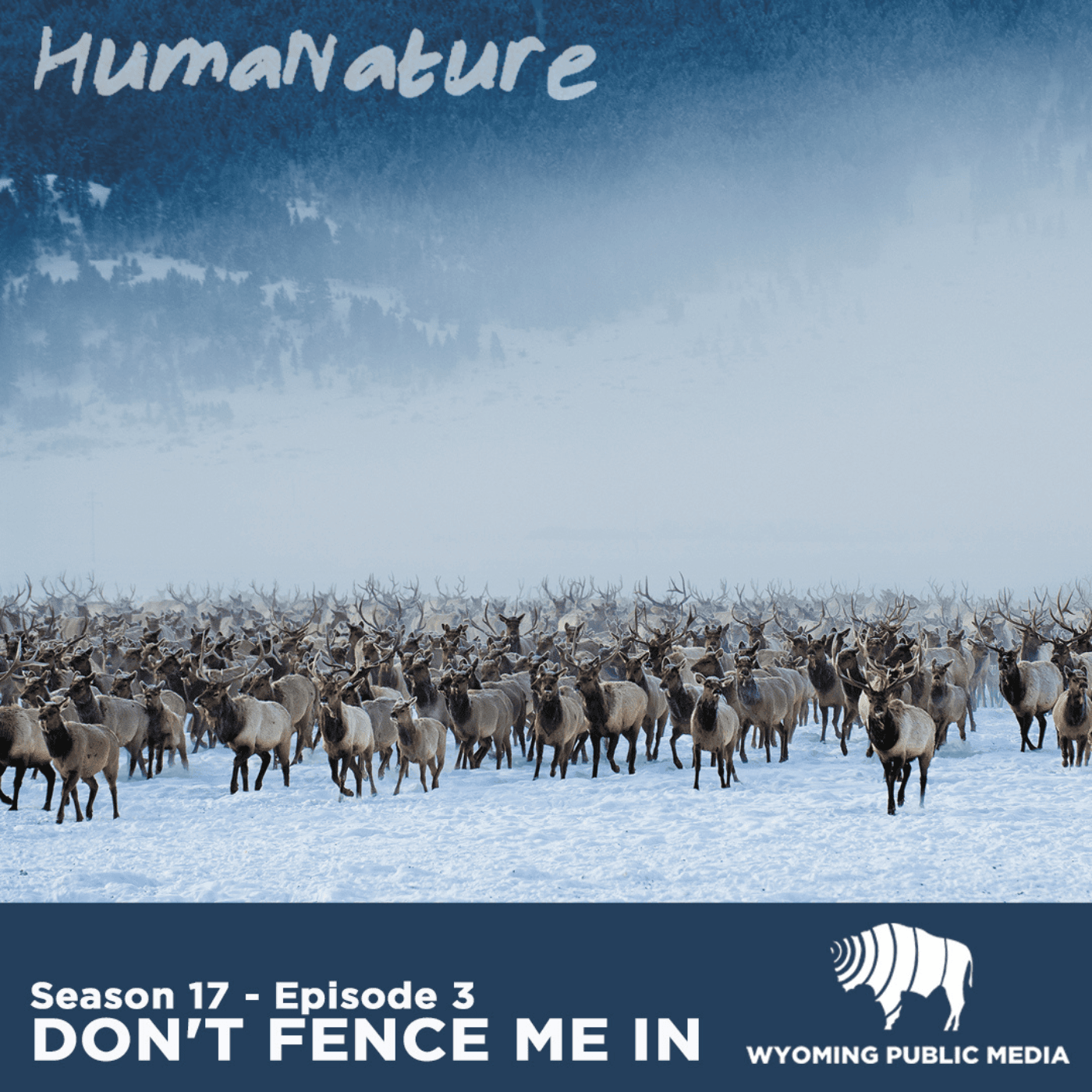 Thumbnail for "Don't Fence Me In". Thumbnail for "Don't Fence Me In".