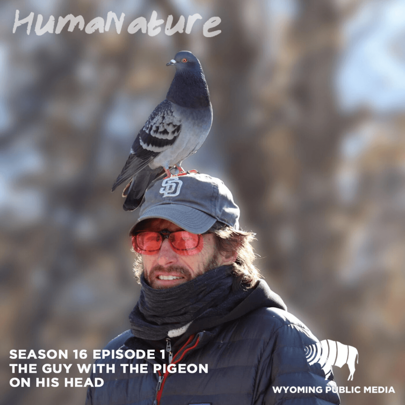 Thumbnail for "The Guy With The Pigeon On His Head". Thumbnail for "The Guy With The Pigeon On His Head".