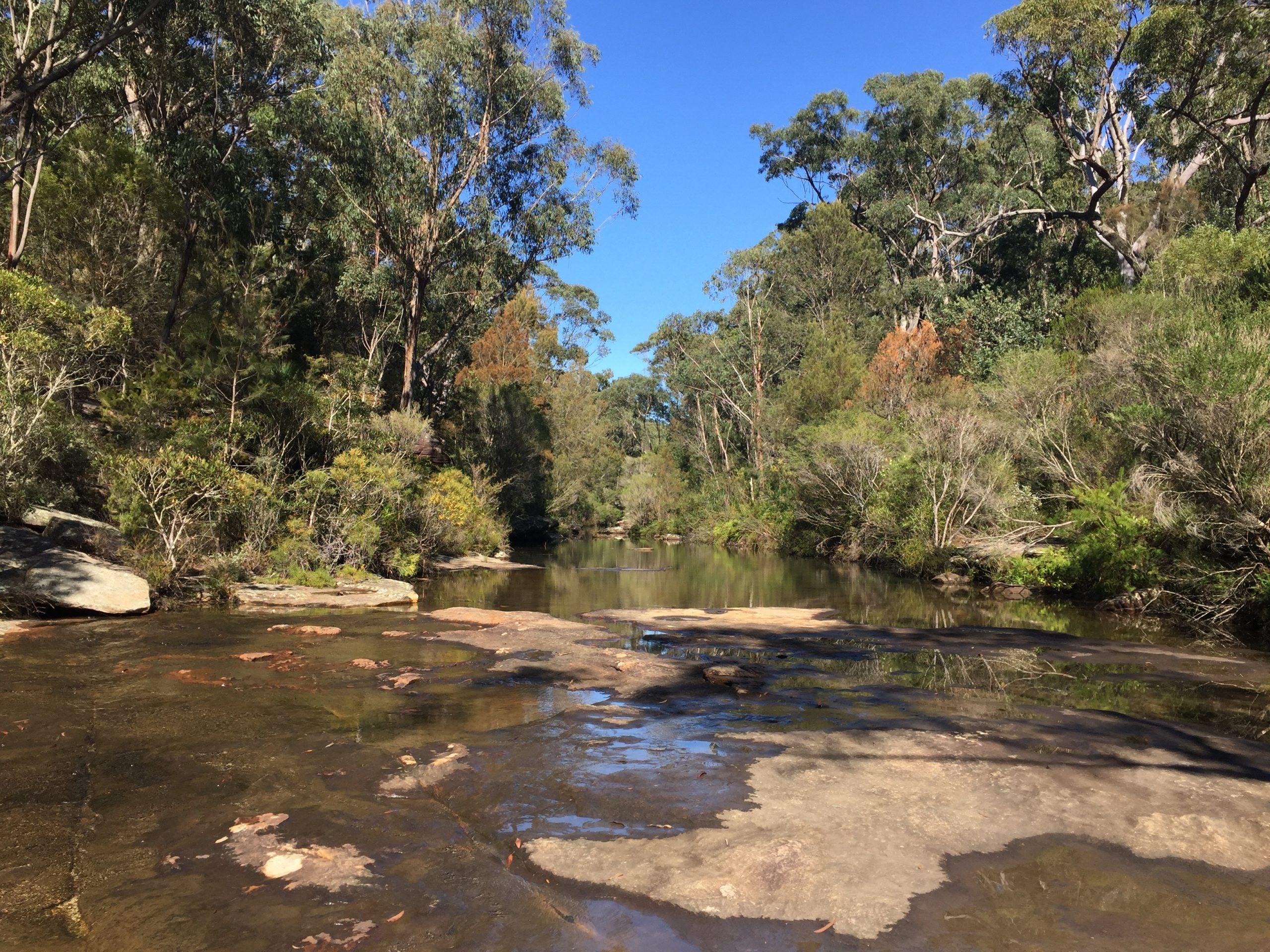 Thumbnail for "Episode 69: Brain On Nature". Thumbnail for "Episode 69: Brain On Nature".