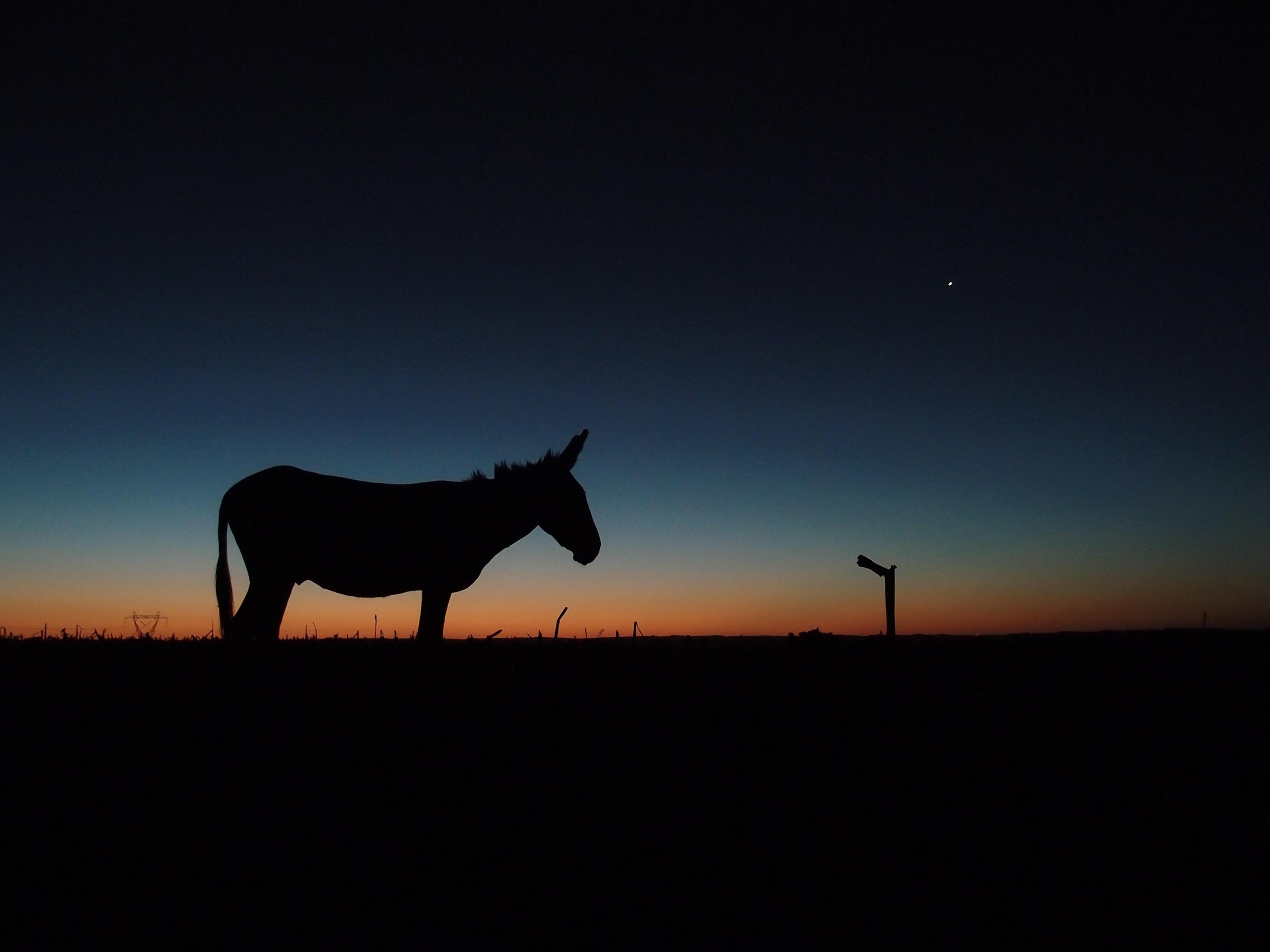 Thumbnail for "Bonus Episode: Hoofprints On The Heart". Thumbnail for "Bonus Episode: Hoofprints On The Heart".