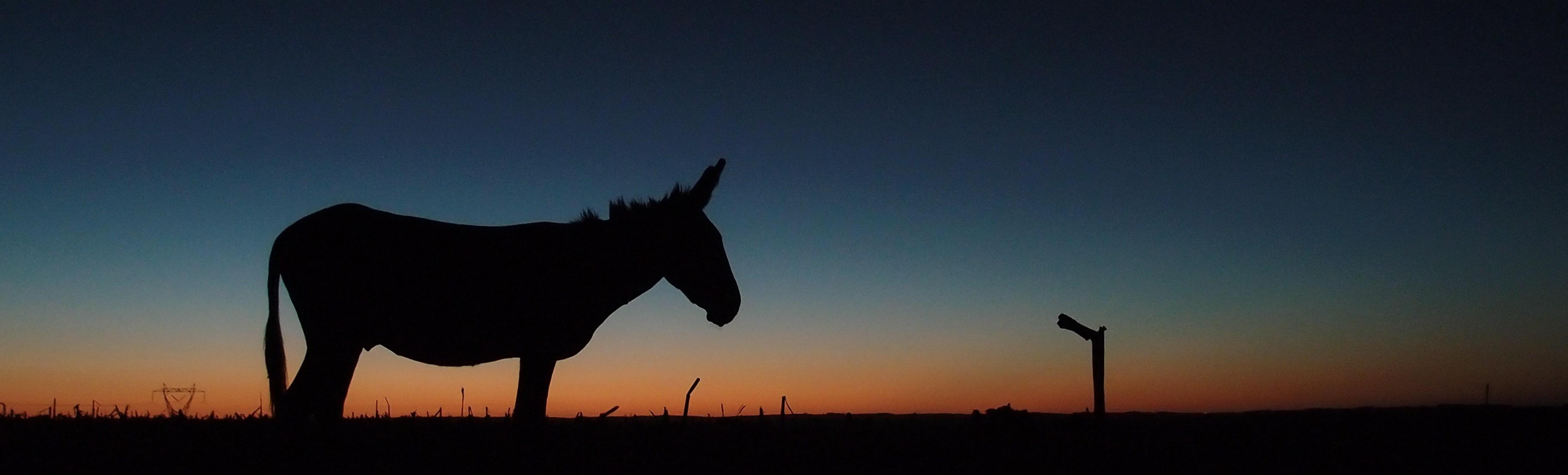 Thumbnail for "Episode 11: Hoofprints On The Heart". Thumbnail for "Episode 11: Hoofprints On The Heart".