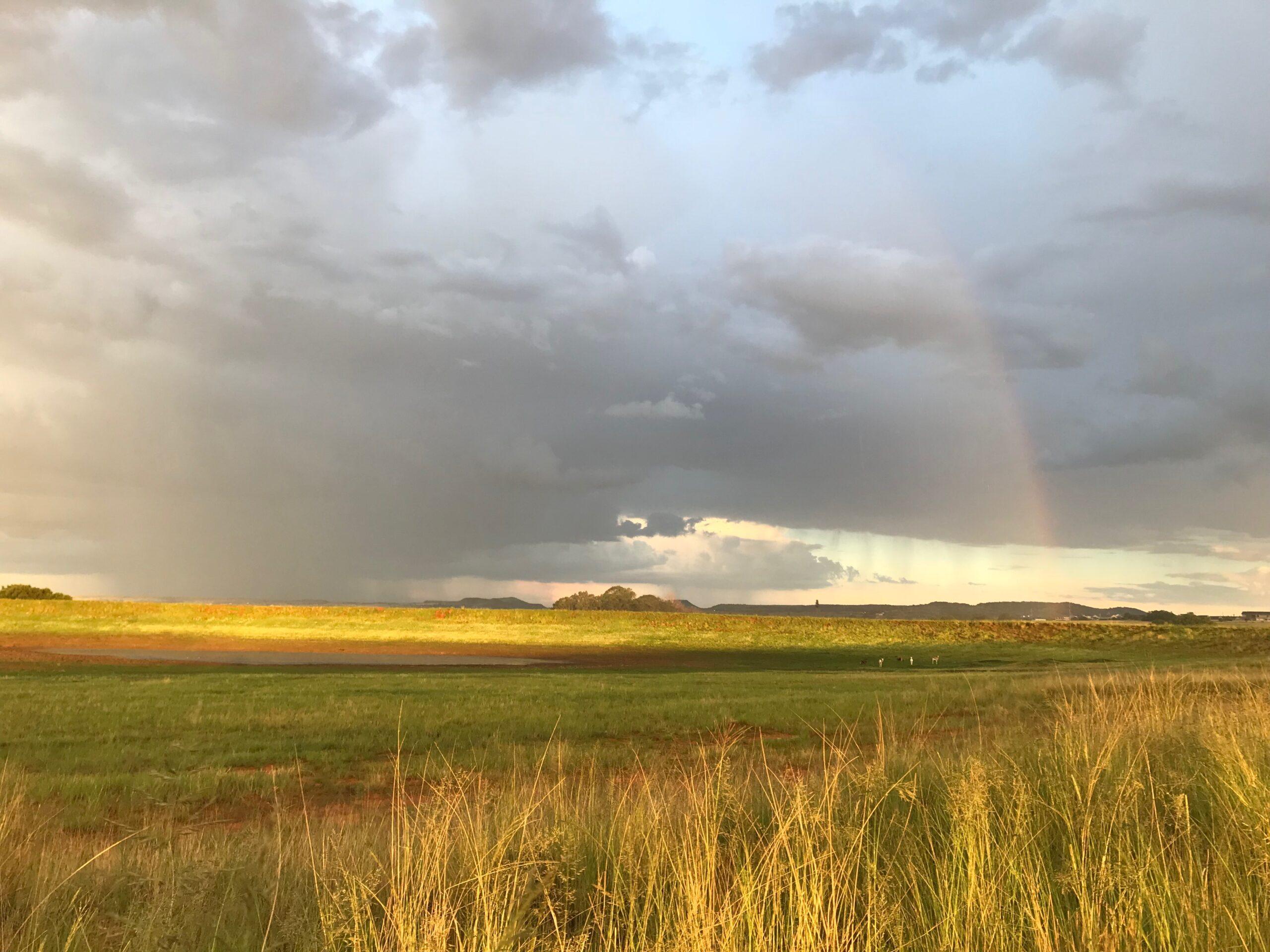 Thumbnail for "Episode 81: The Ghost Of Africa". Thumbnail for "Episode 81: The Ghost Of Africa".