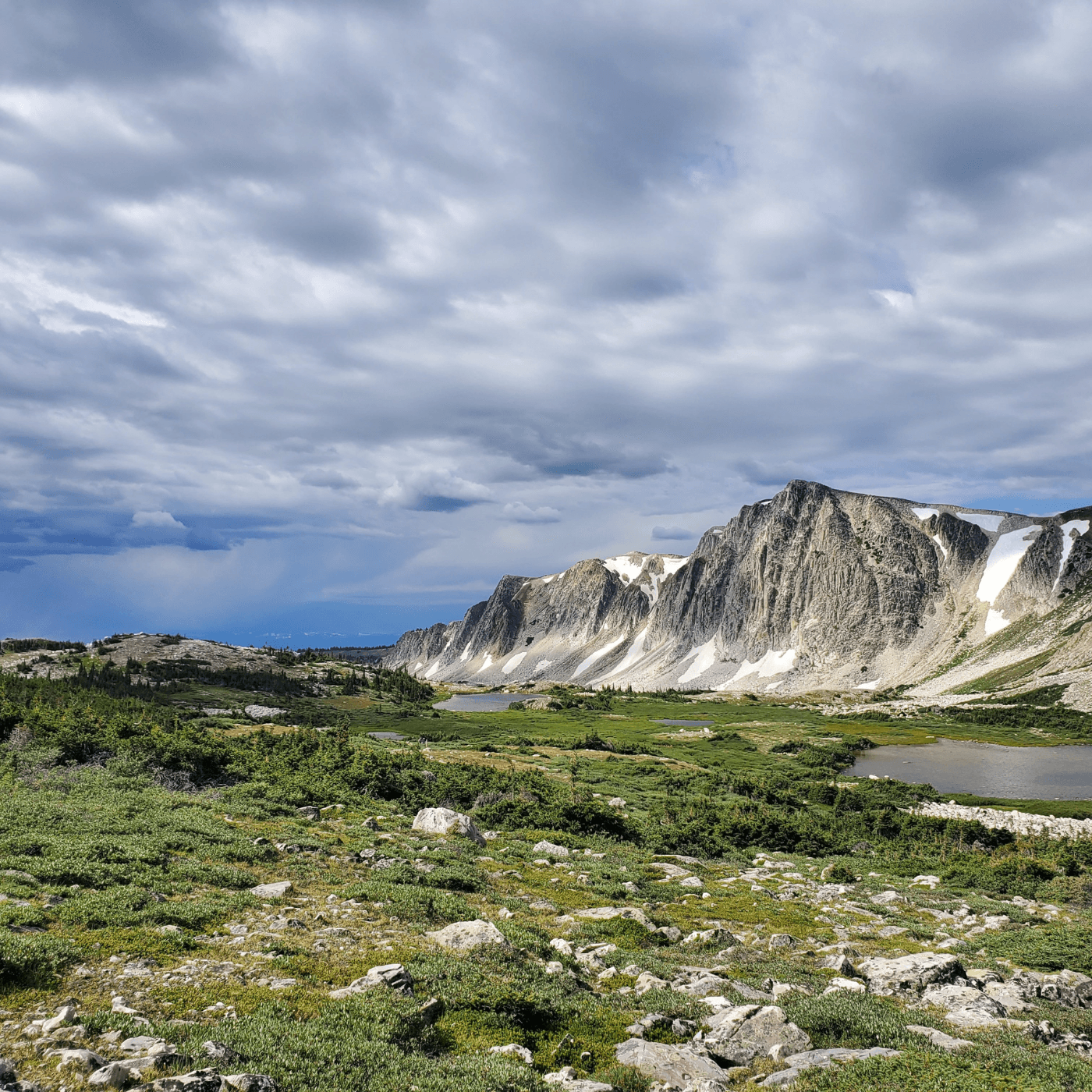 Thumbnail for "HumaNature Update". Thumbnail for "HumaNature Update".