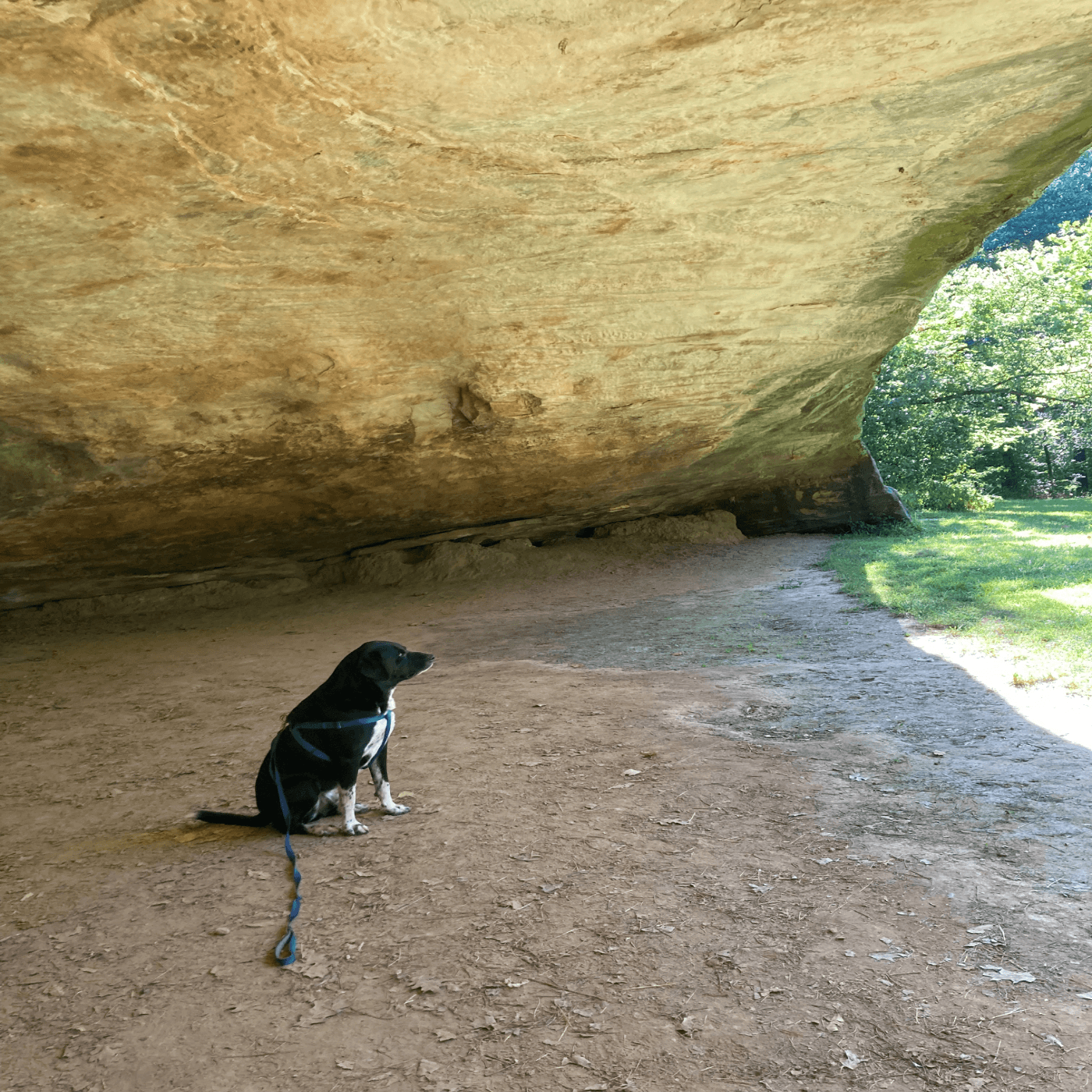 Thumbnail for "Episode 111: Ruffin' It: A Road Trip Adventure". Thumbnail for "Episode 111: Ruffin' It: A Road Trip Adventure".