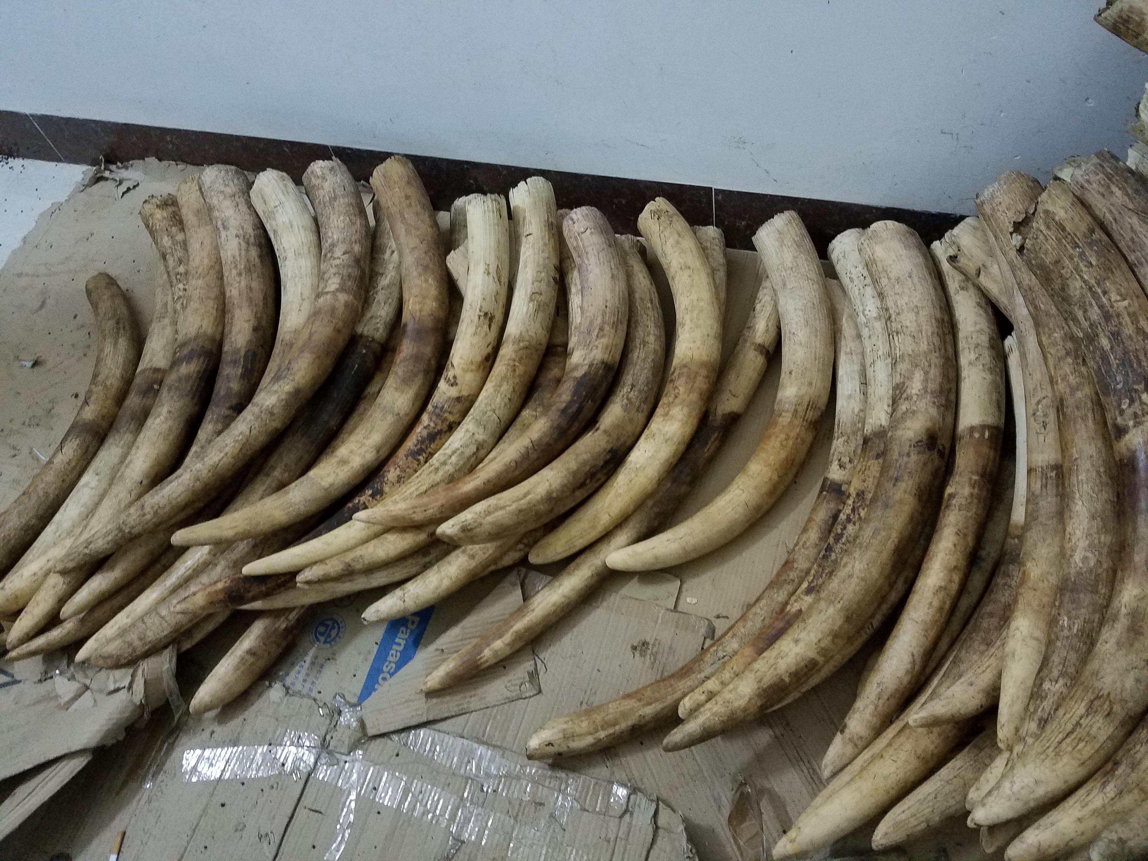 Thumbnail for "Episode 56: The Shuidong Connection". Thumbnail for "Episode 56: The Shuidong Connection".