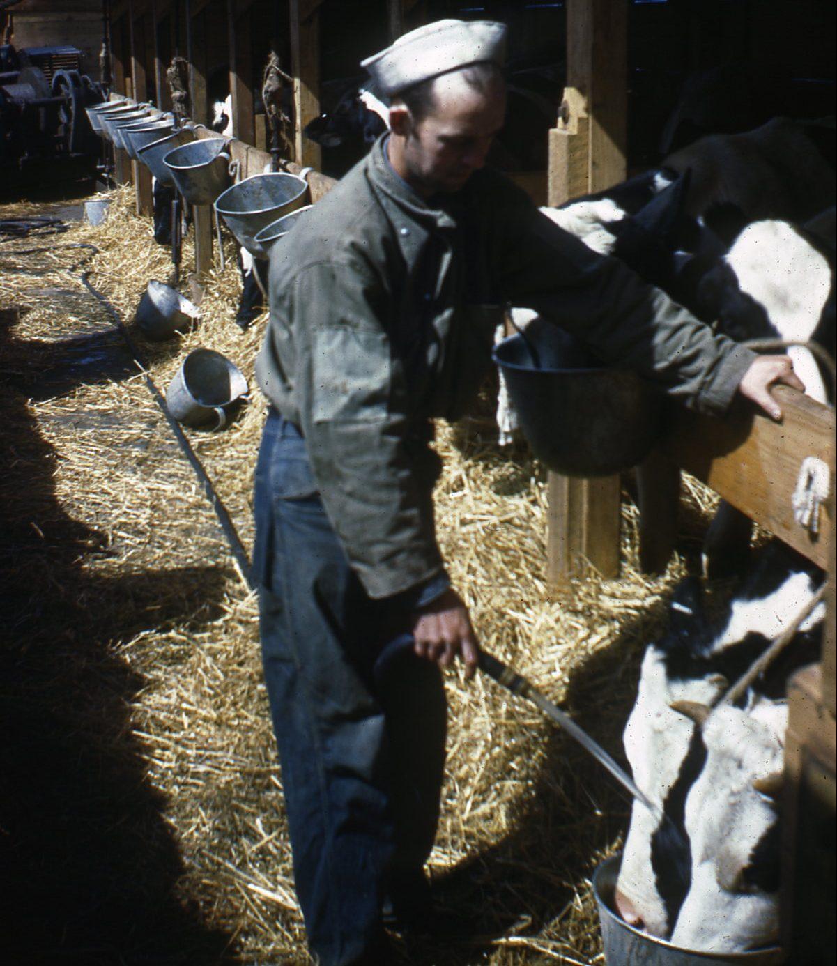 Thumbnail for "Episode 12: Home On The Waves With A Seafaring Cowboy". Thumbnail for "Episode 12: Home On The Waves With A Seafaring Cowboy".