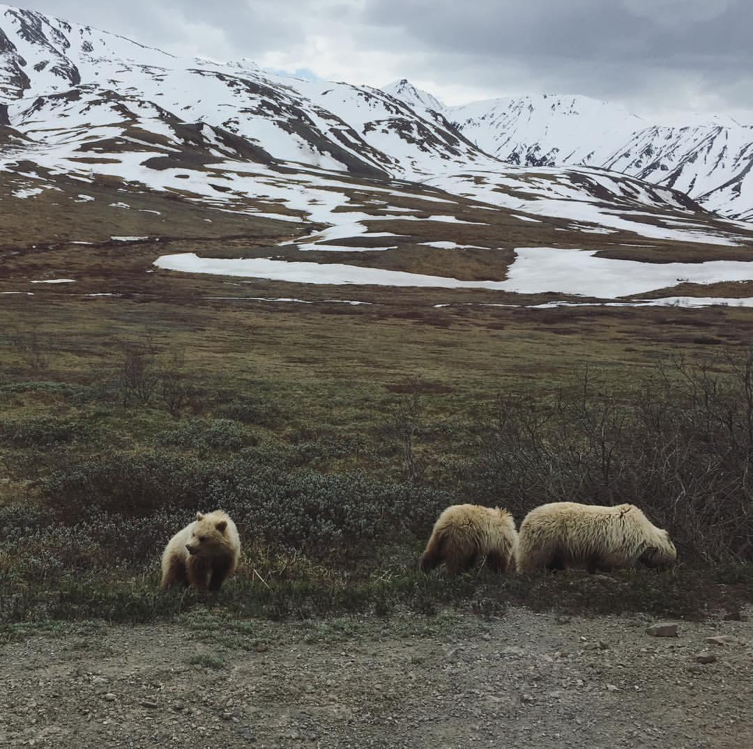 Thumbnail for "Bonus Episode: It’s All Downwind From Here". Thumbnail for "Bonus Episode: It’s All Downwind From Here".