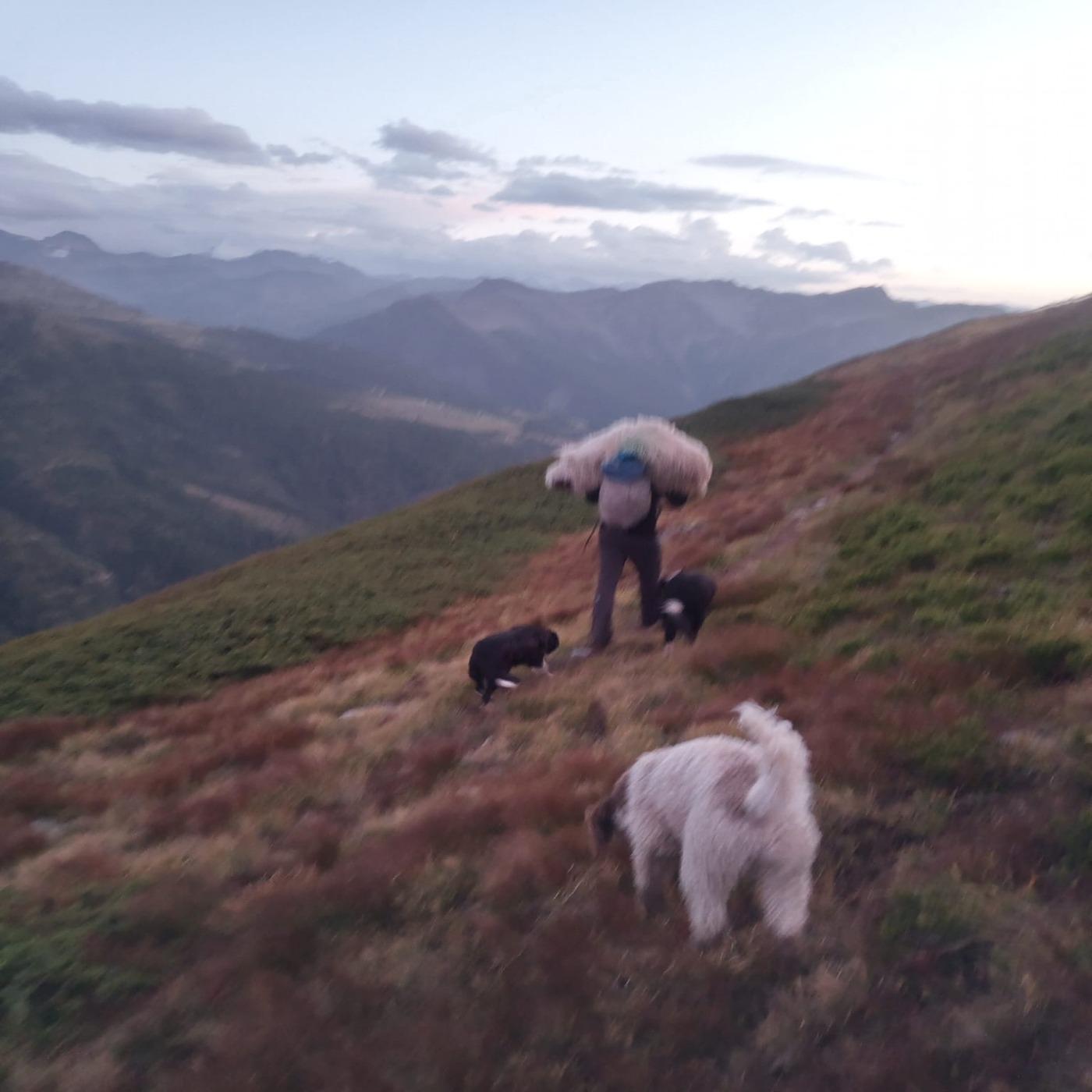 Thumbnail for "Episode 108: The Night Shepherd". Thumbnail for "Episode 108: The Night Shepherd".