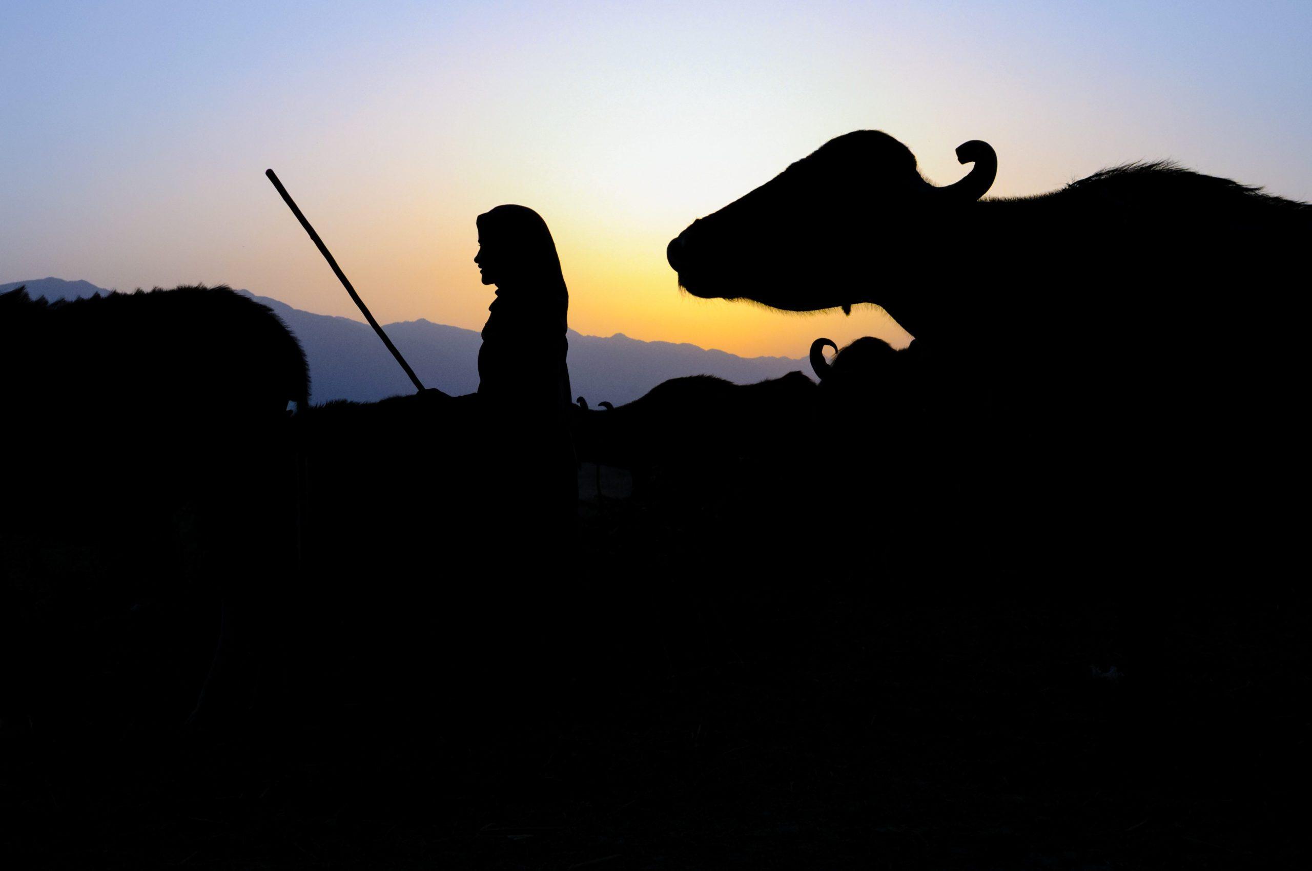 Thumbnail for "Episode 75: Trying To Get Home". Thumbnail for "Episode 75: Trying To Get Home".