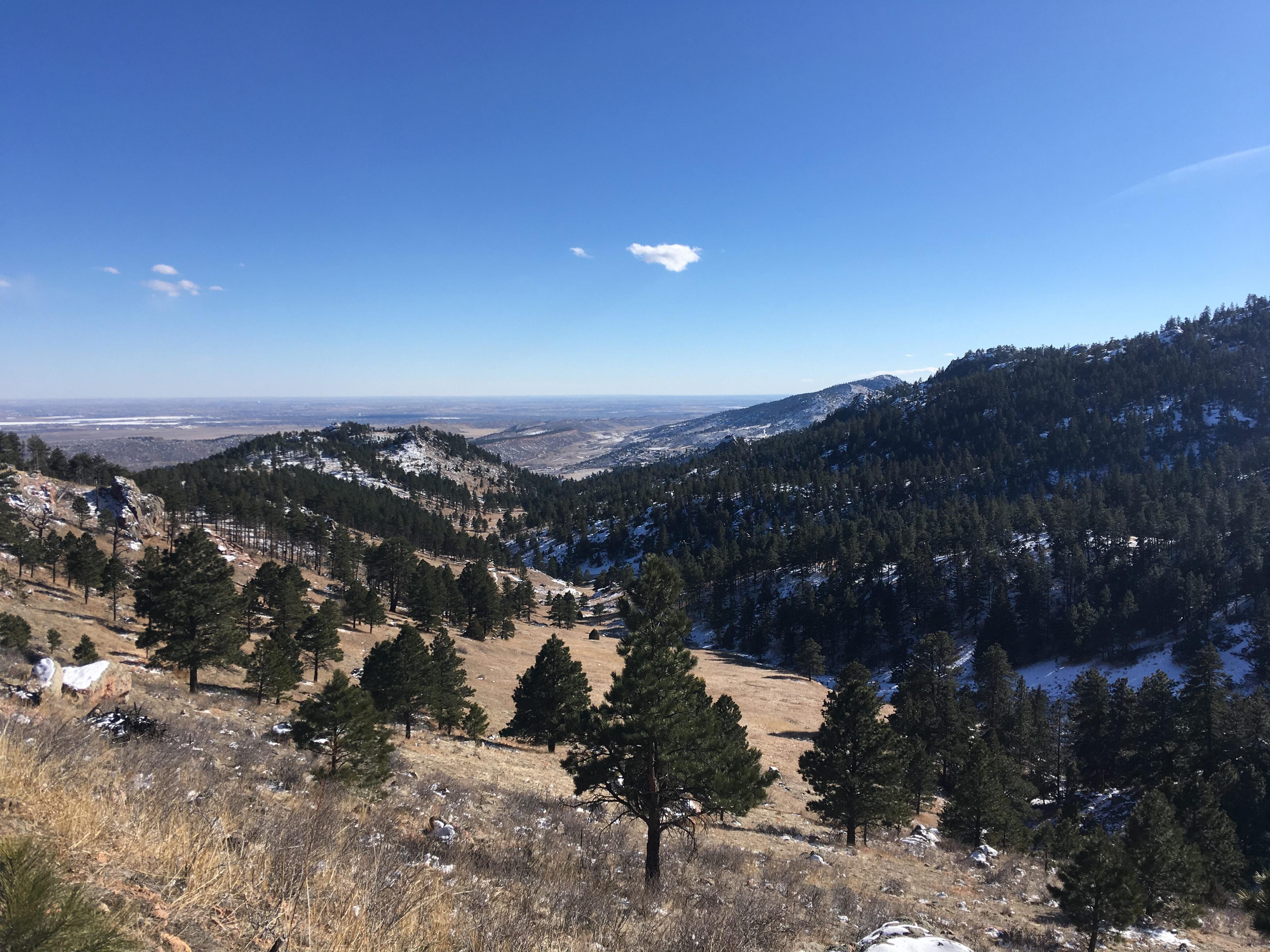 Thumbnail for "Episode 59: Vicious And Viral". Thumbnail for "Episode 59: Vicious And Viral".