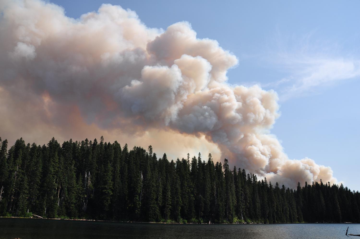 Thumbnail for "Episode 42: Out Of The Frying Pan". Thumbnail for "Episode 42: Out Of The Frying Pan".