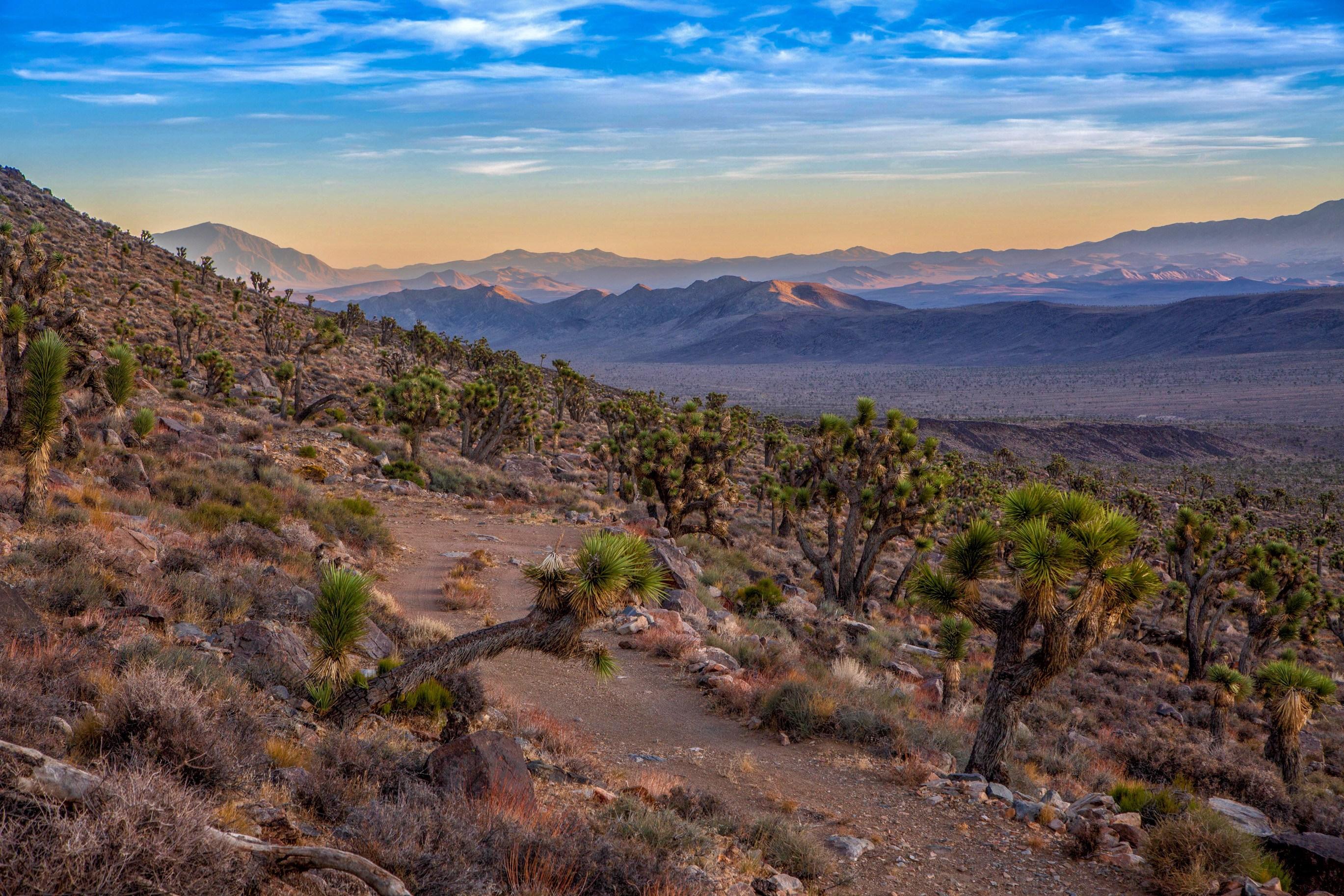 Thumbnail for "Episode 65: Deserted". Thumbnail for "Episode 65: Deserted".