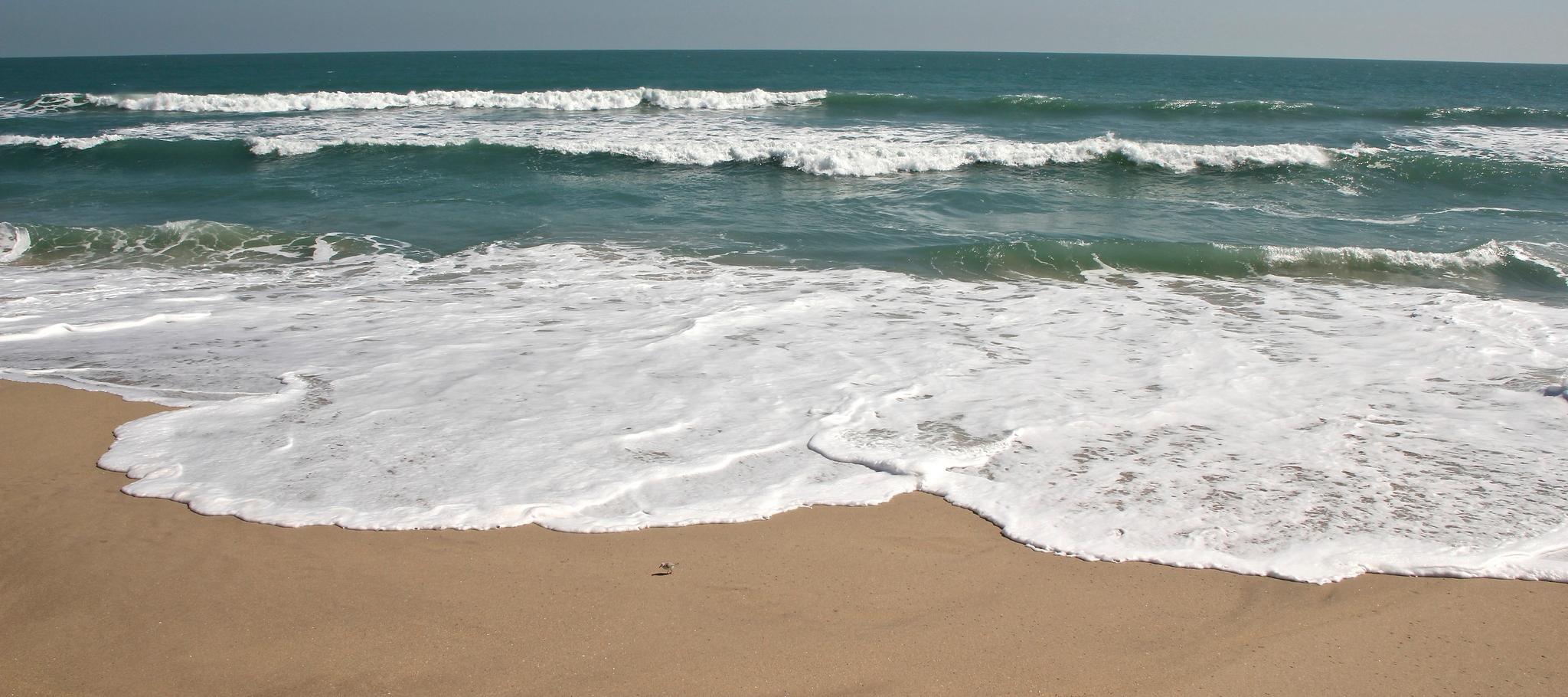 Thumbnail for "Episode 2: A Ballroom Dancer, A Shark, And A PR Problem". Thumbnail for "Episode 2: A Ballroom Dancer, A Shark, And A PR Problem".