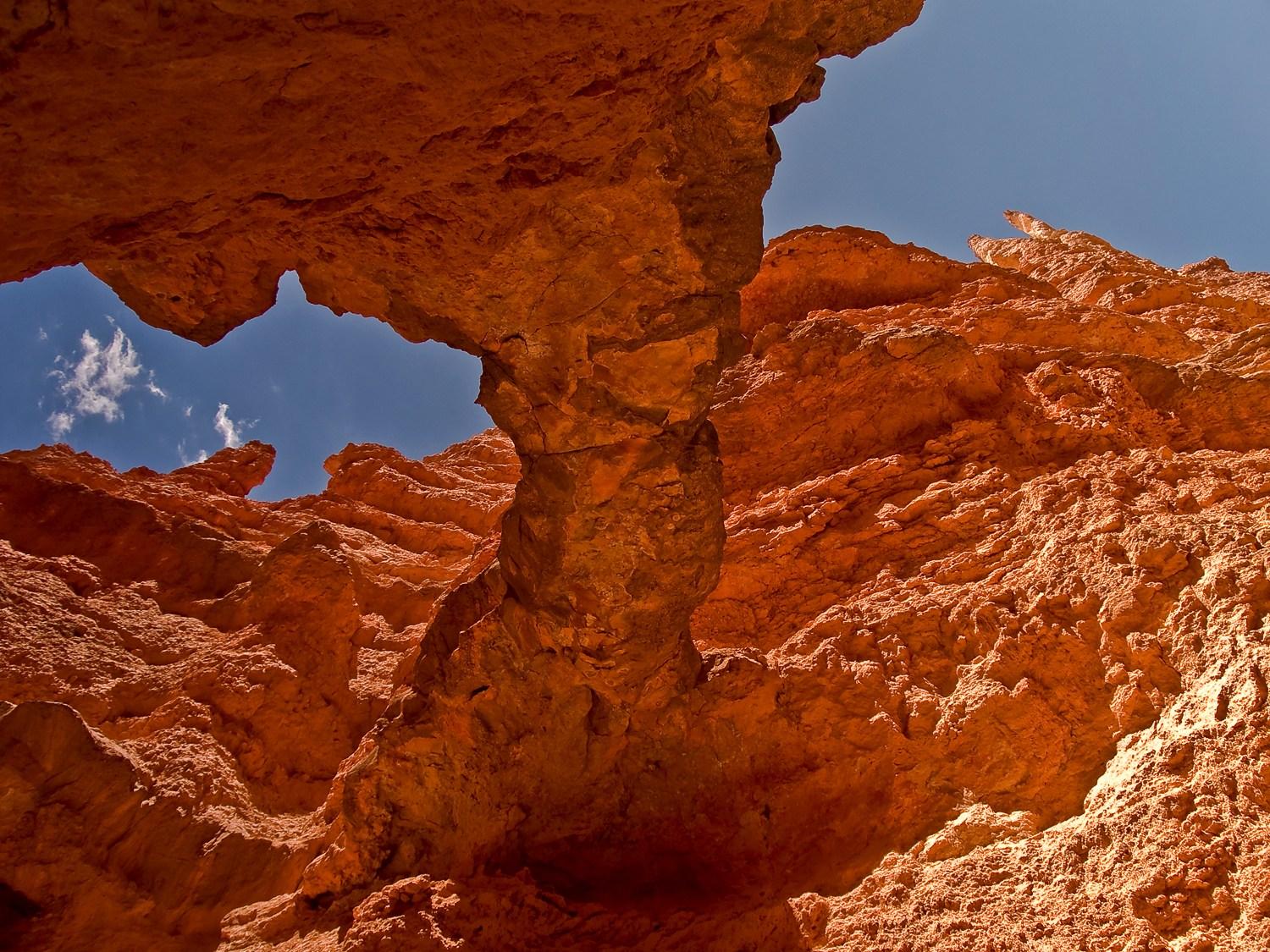 Thumbnail for "Episode 6: In The Beginning, God Created The Heavens And The Earth And The Allosaurus". Thumbnail for "Episode 6: In The Beginning, God Created The Heavens And The Earth And The Allosaurus".