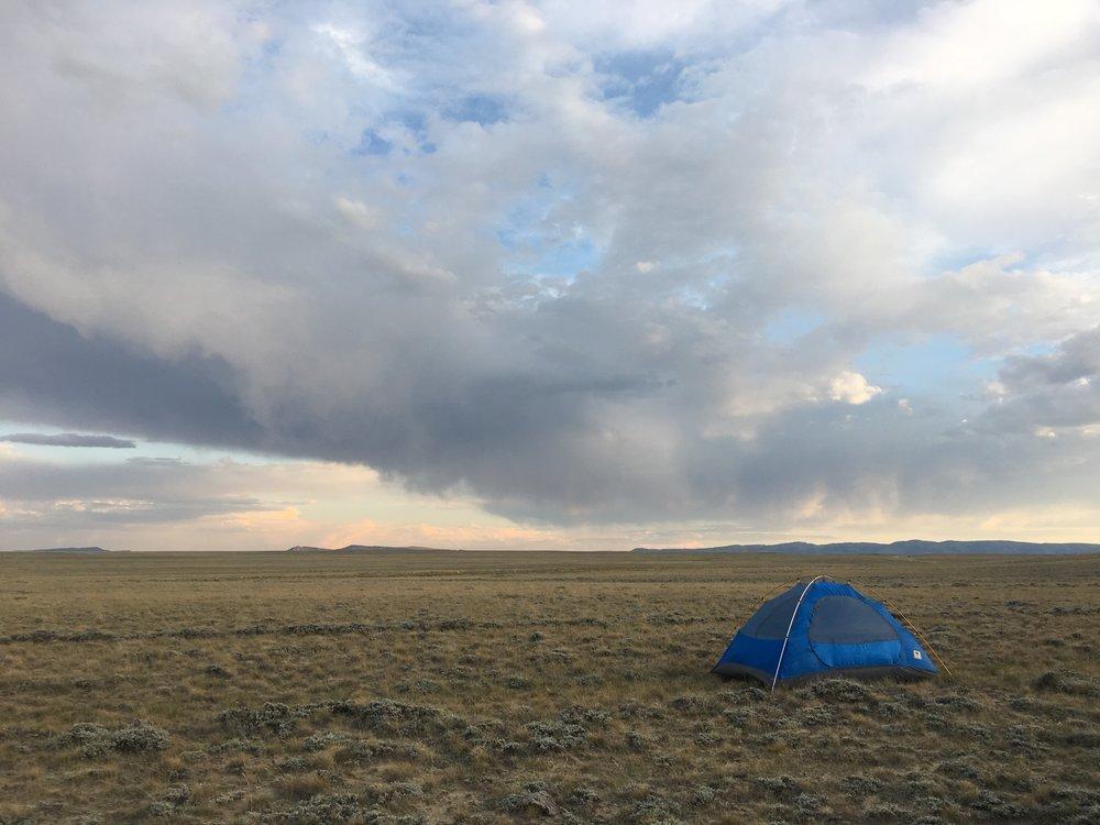 Thumbnail for "Extra: “Watch Out For the Damn Horny Toads!” And Other Thoughts On Not Having Enough". Thumbnail for "Extra: “Watch Out For the Damn Horny Toads!” And Other Thoughts On Not Having Enough".