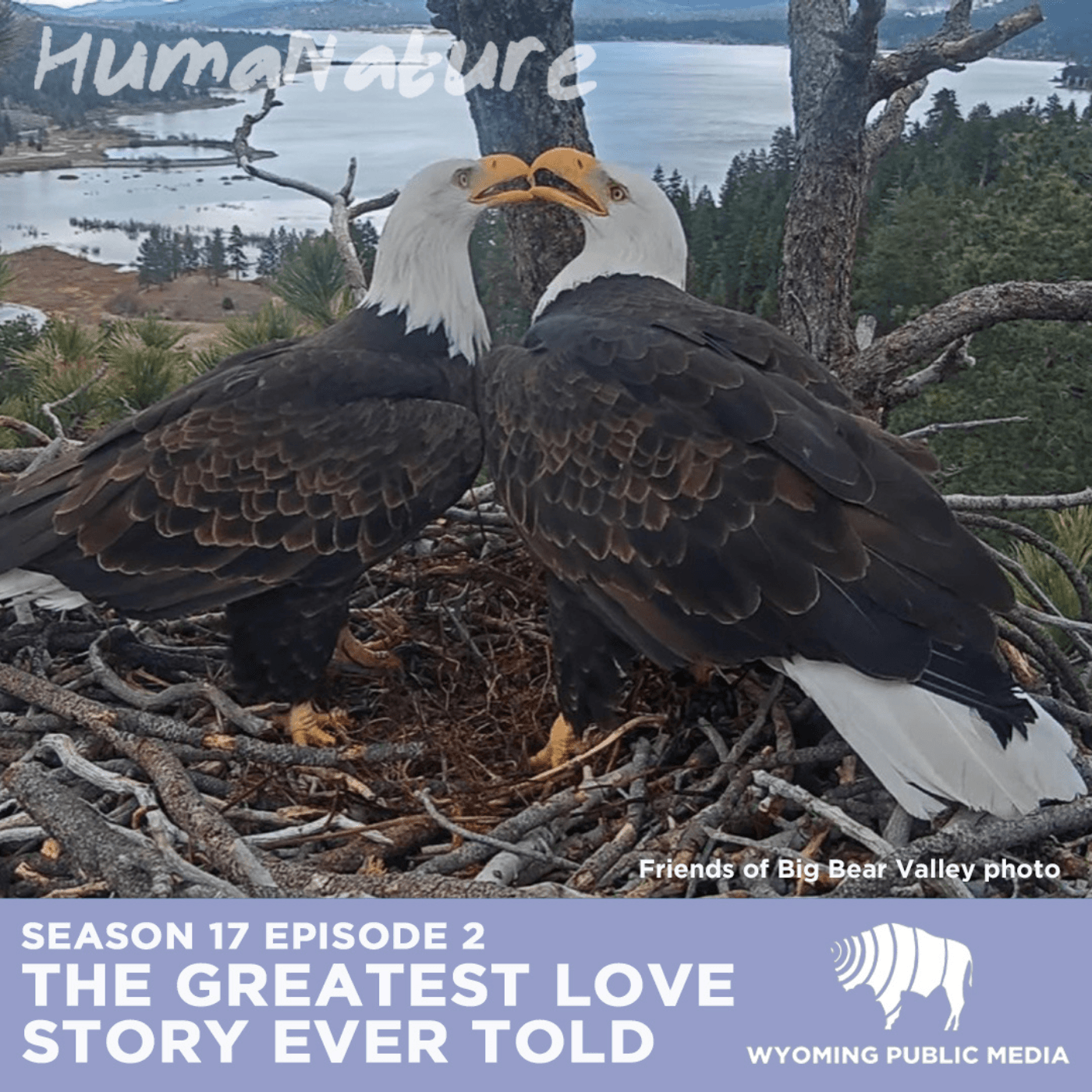 Thumbnail for "The Greatest Love Story Ever Told". Thumbnail for "The Greatest Love Story Ever Told".