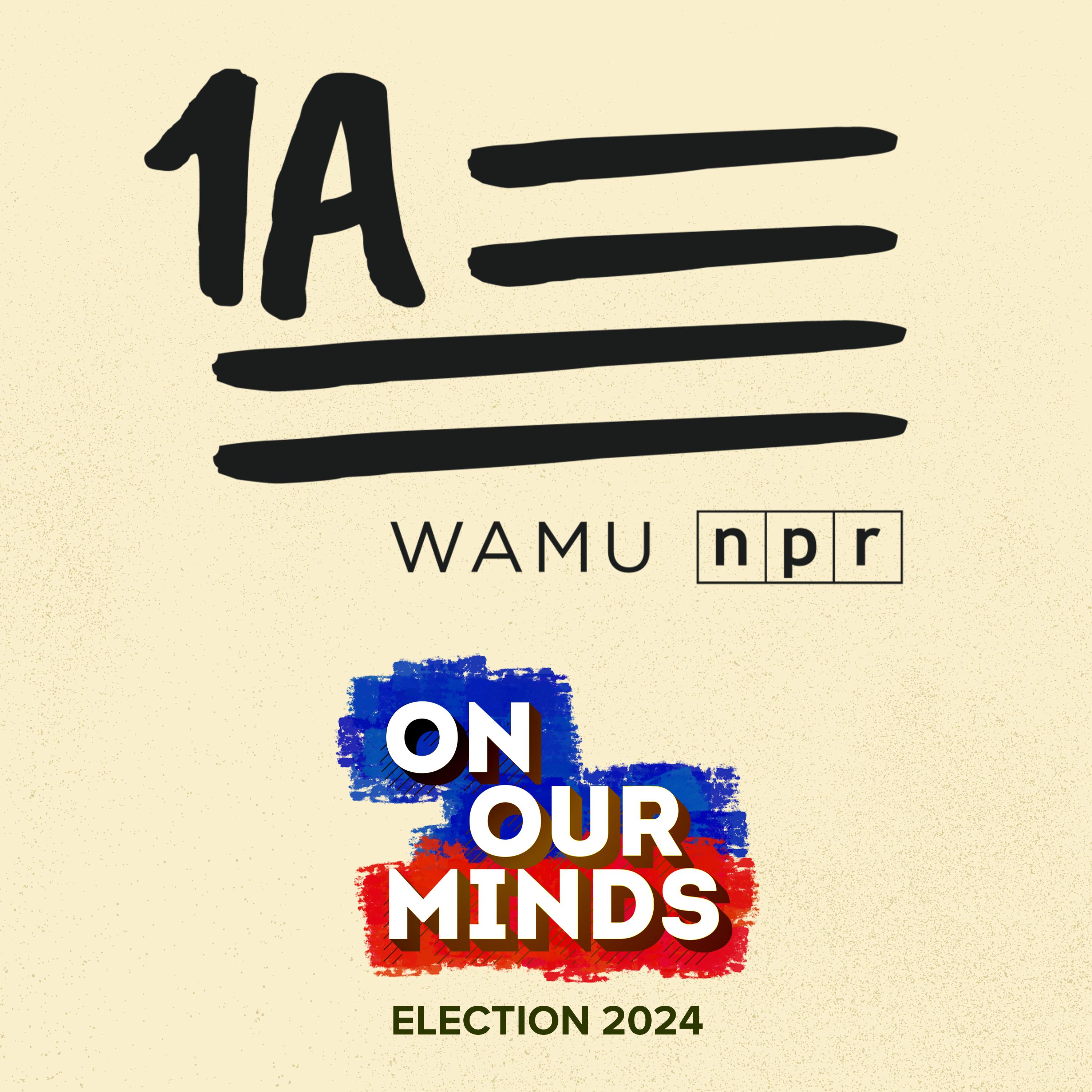 Thumbnail for "NPR's 1A features On Our Minds students, Grace and Reesa!". Thumbnail for "NPR's 1A features On Our Minds students, Grace and Reesa!".