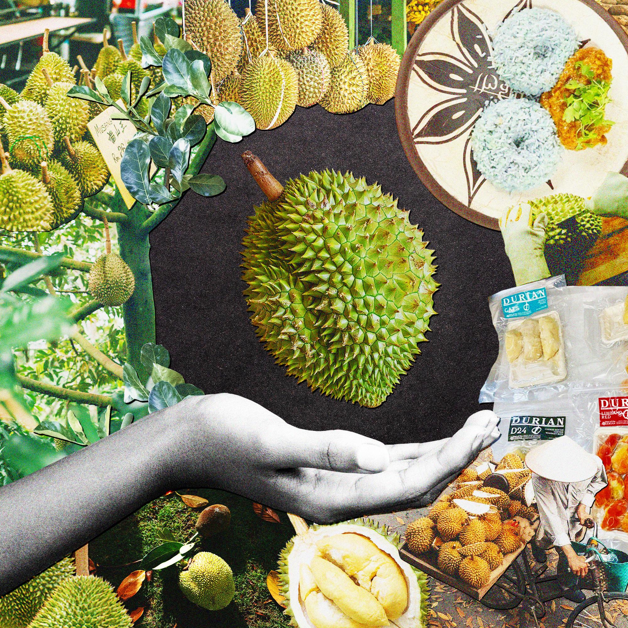 Thumbnail for "Why You Should Love Durian, the World's Smelliest Fruit". Thumbnail for "Why You Should Love Durian, the World's Smelliest Fruit".