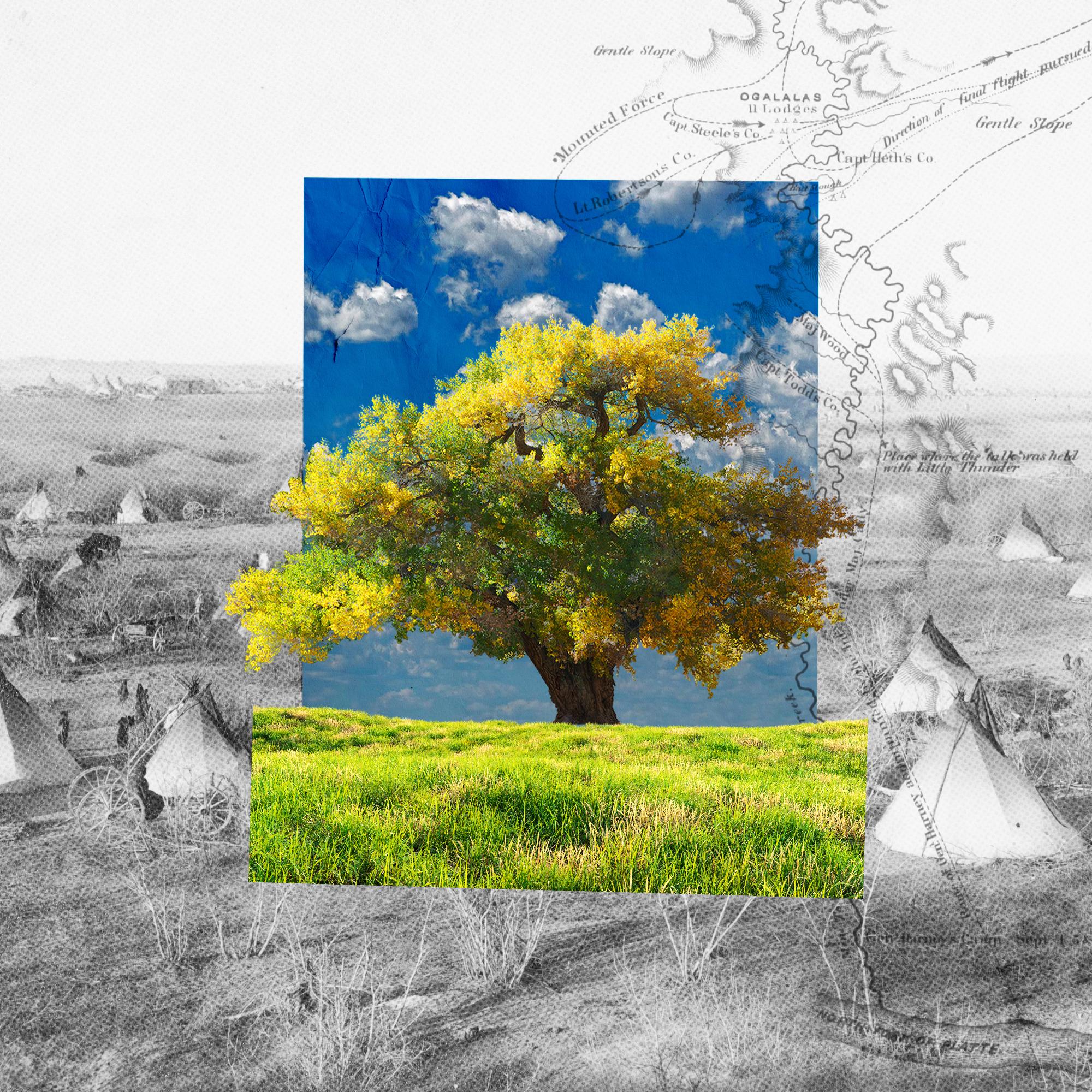 Thumbnail for "A Chance for Healing, 170 Years After a Lakota Massacre". Thumbnail for "A Chance for Healing, 170 Years After a Lakota Massacre".